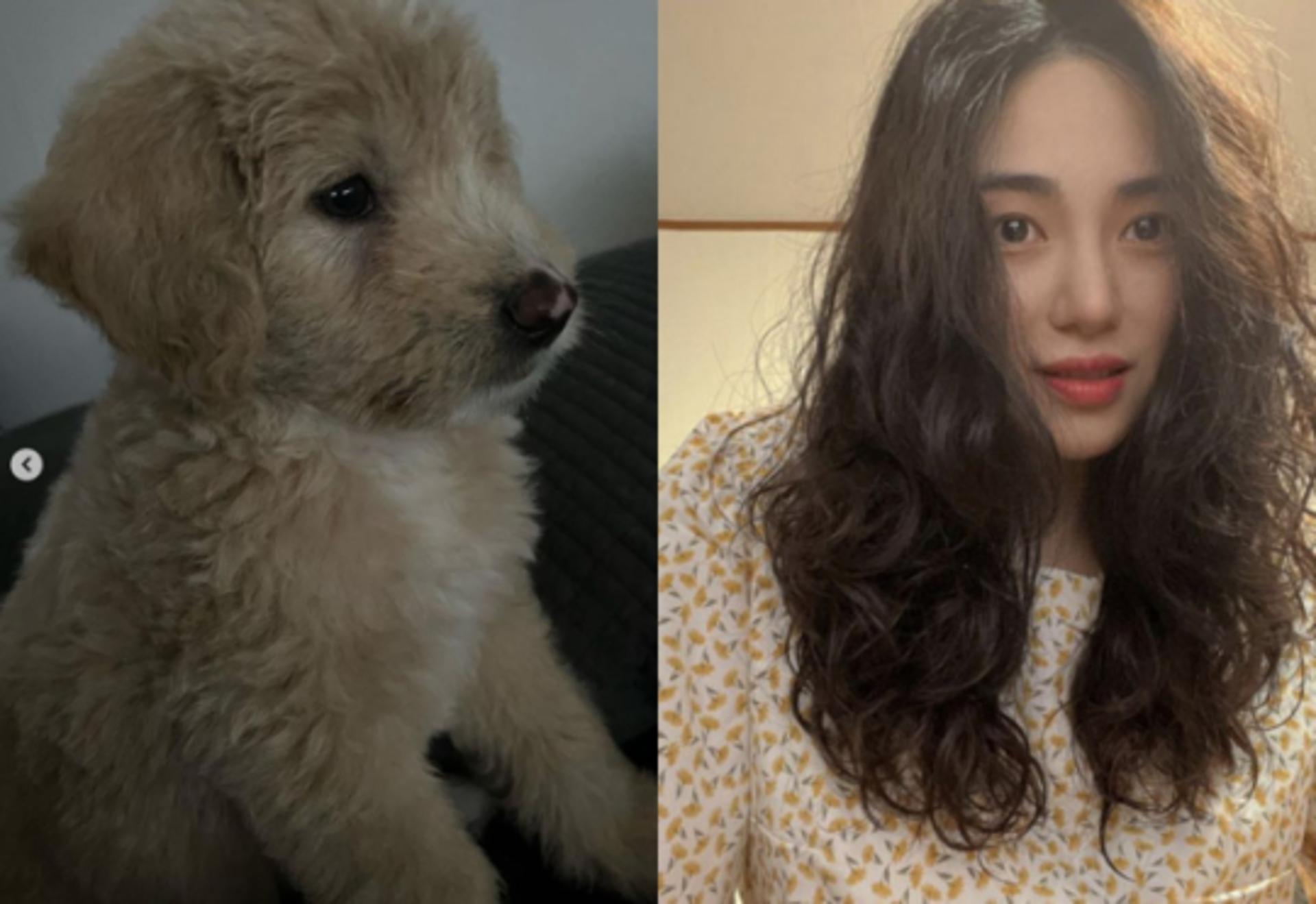 권민아 근황, 새 가족 생겼다?… "태어난 지 3개월"