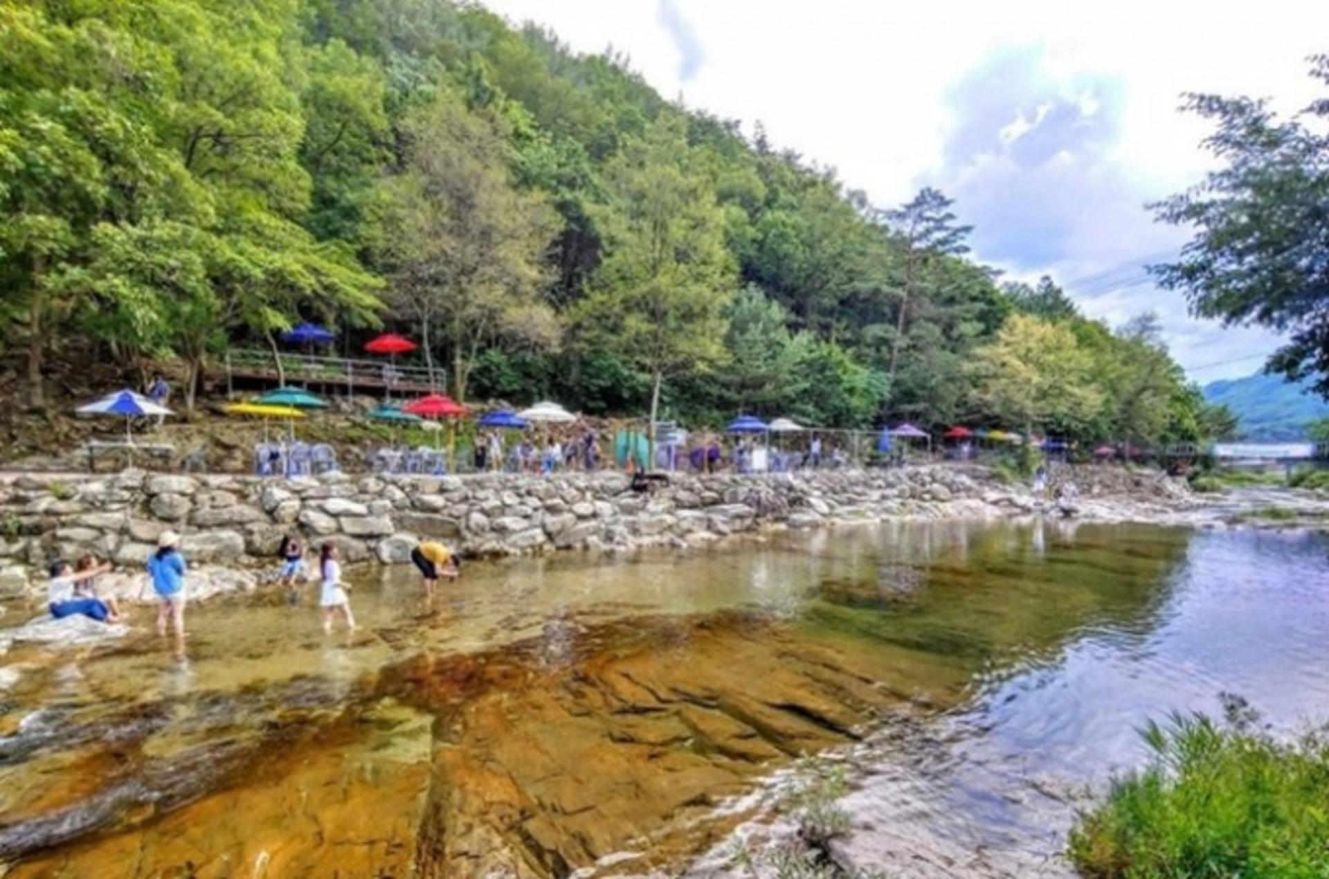 "계곡에 평상 설치했어요?"… 경기도, 휴양지 불법행위 집중 단속