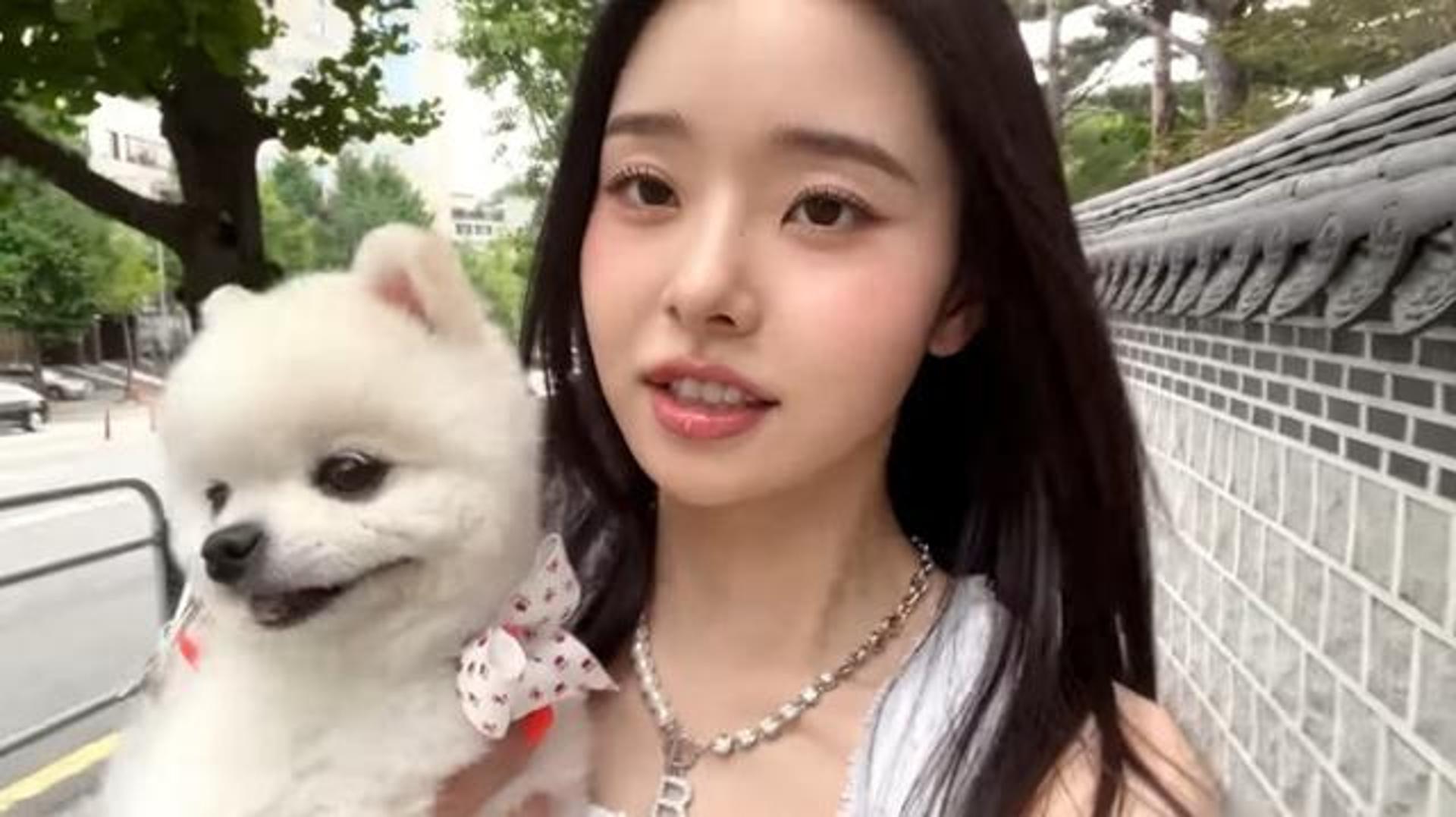 "예쁘게 봐달라"… '가품 논란' 5개월만, 프리지아 활동 재개
