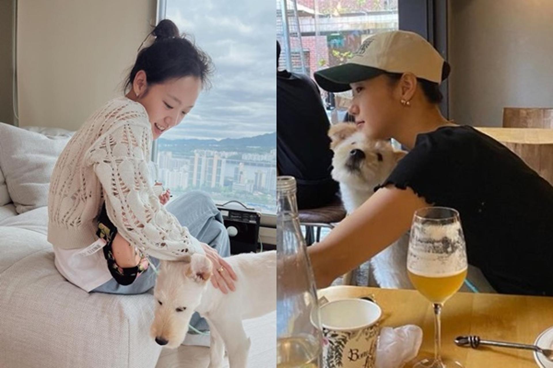 "치료해주고파"… 김고은, 불치병 판정 강아지 입양