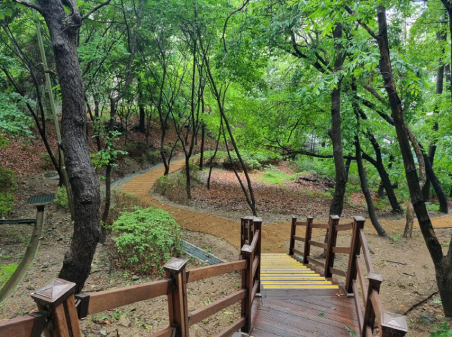 용인시, 특교금 3억 투입 대지산근린공원 산책로 새단장
