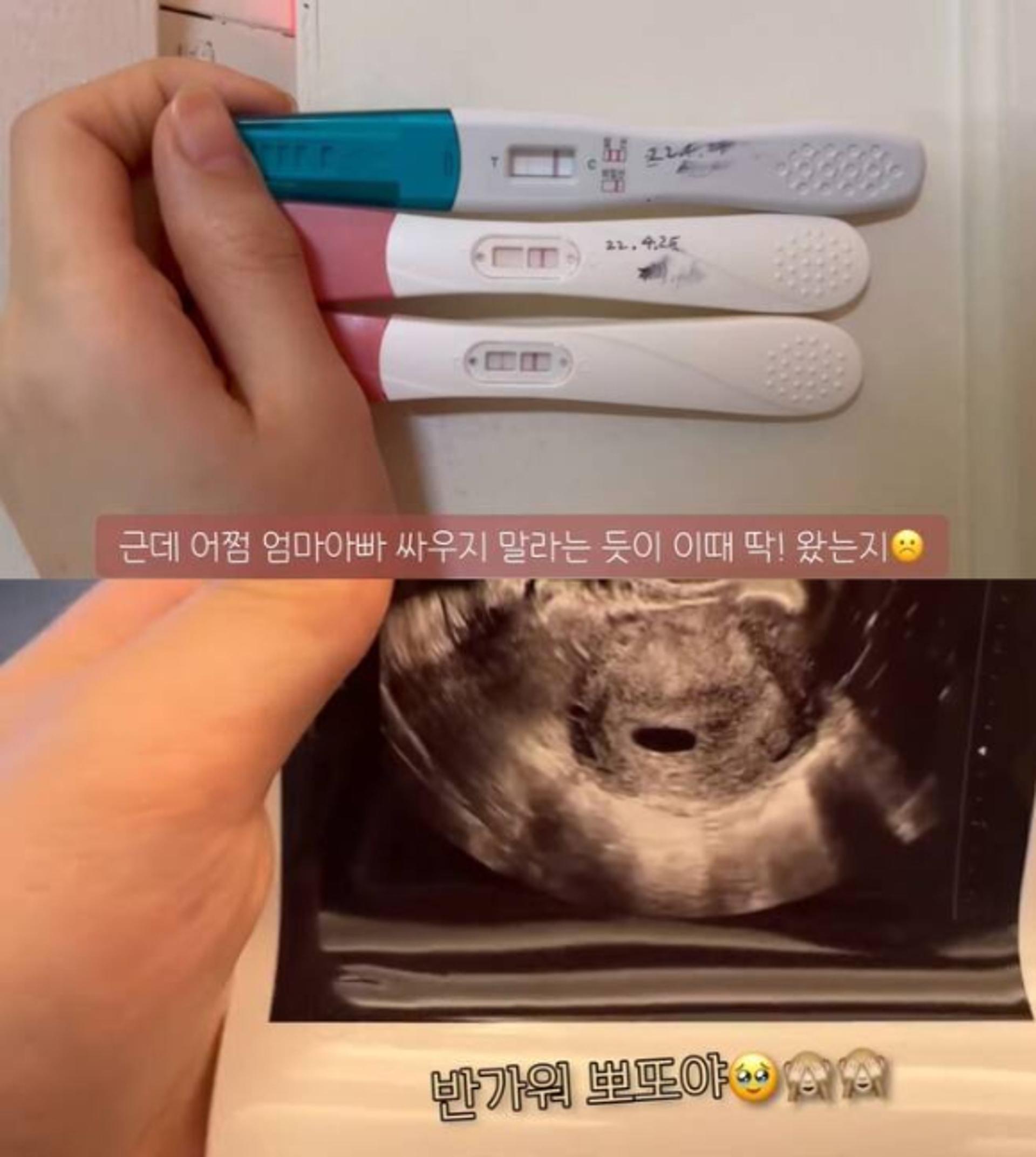 티아라 출신 한아름, 둘째 임신 경사 "실수 아냐… 셋째도 생각"