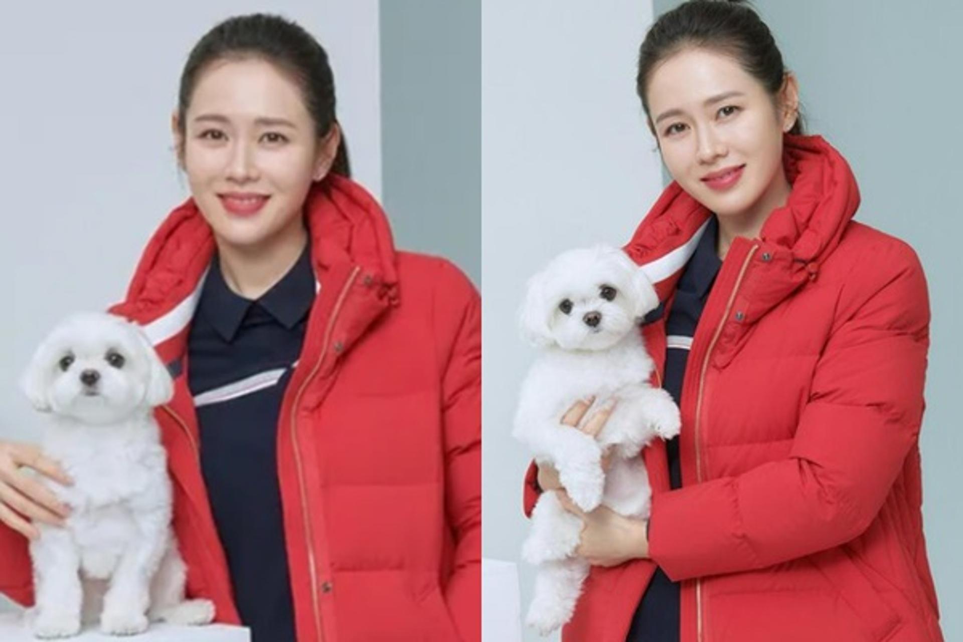 임신 중에도 열일… '♥현빈' 손예진, 반려견과 신났네?