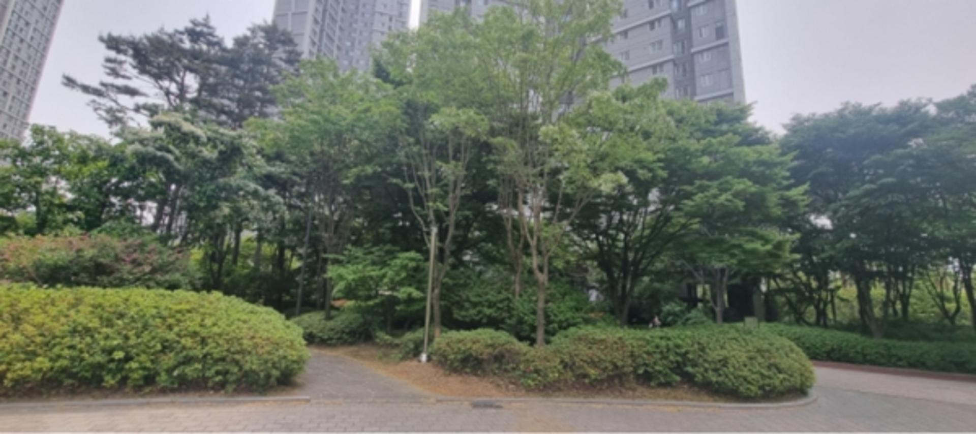 수원시, '지속가능한 저관리형 도시공원 숲' 도입 추진