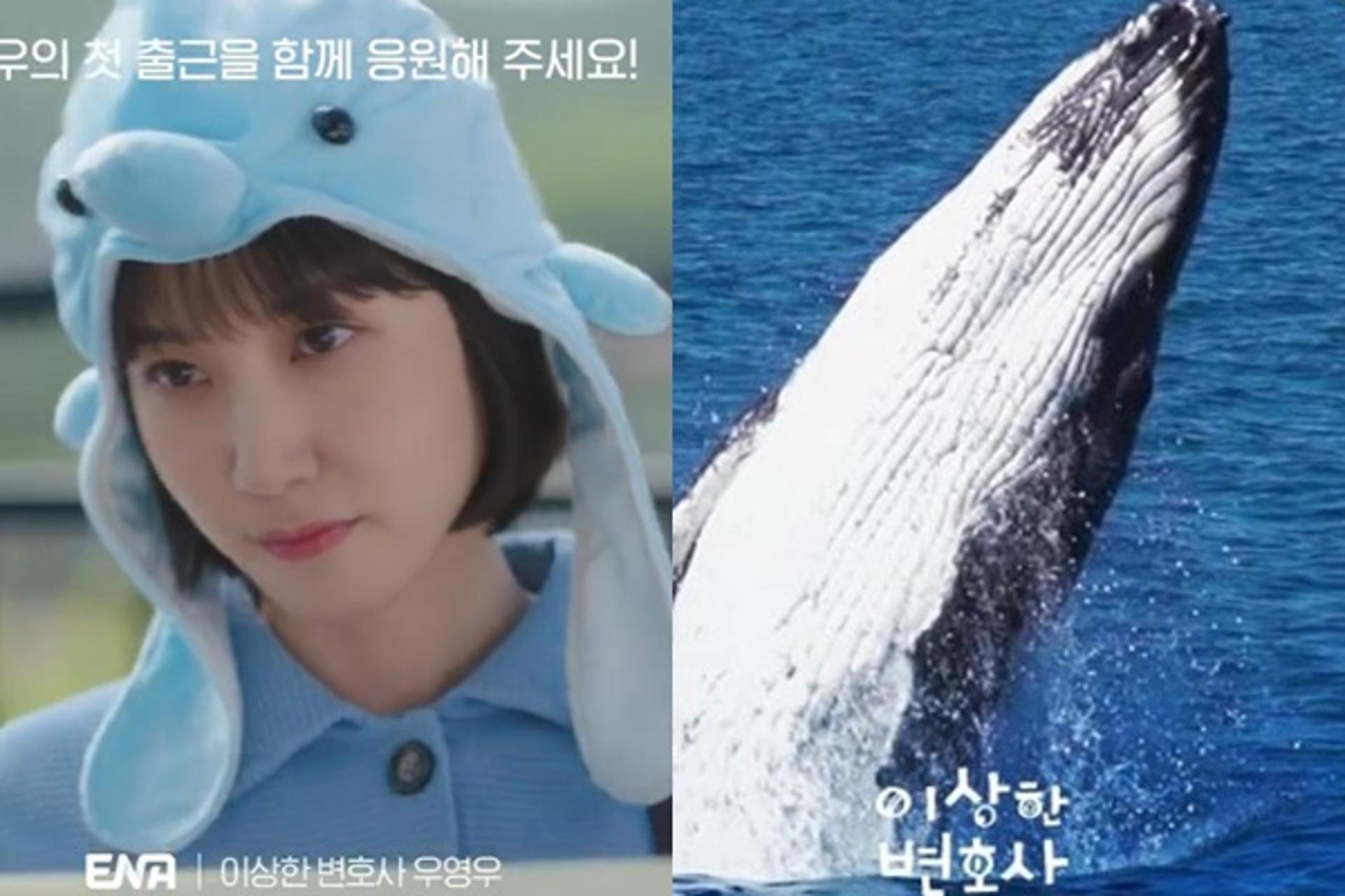 '이상한 변호사 우영우', 포상으로 '황금고래' 받는다
