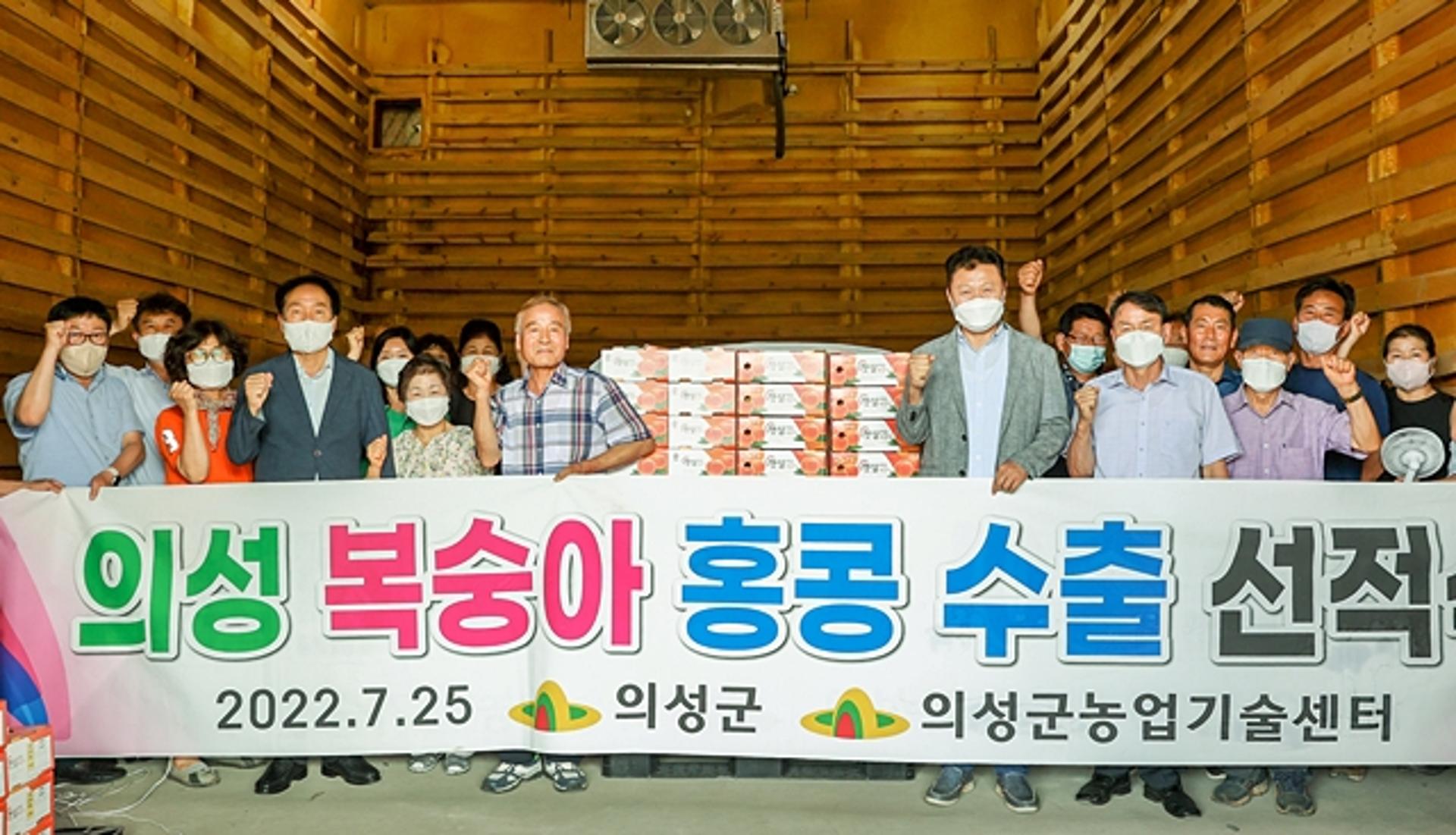 의성군, 복숭아 691kg 첫 선적…수출액 224% 상승