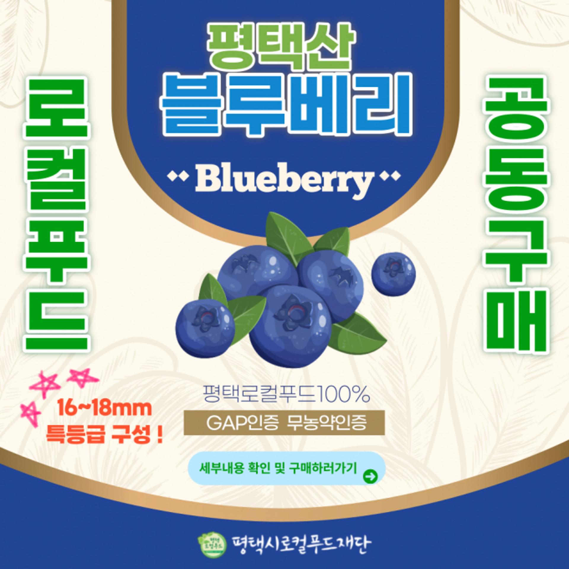 평택시로컬푸드재단, 무농약 GAP 블루베리 공동구매 진행