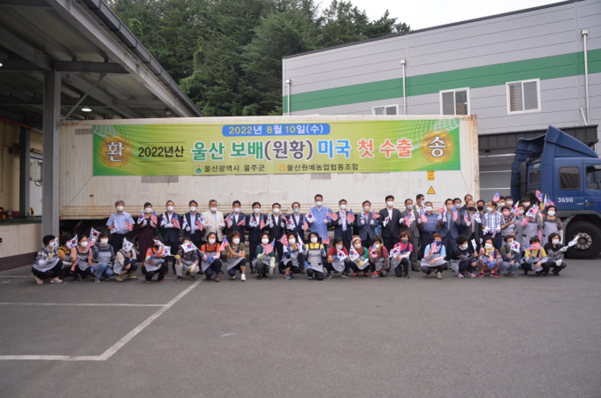 울주군, '울산배' 13.6톤 美 수출길 올라