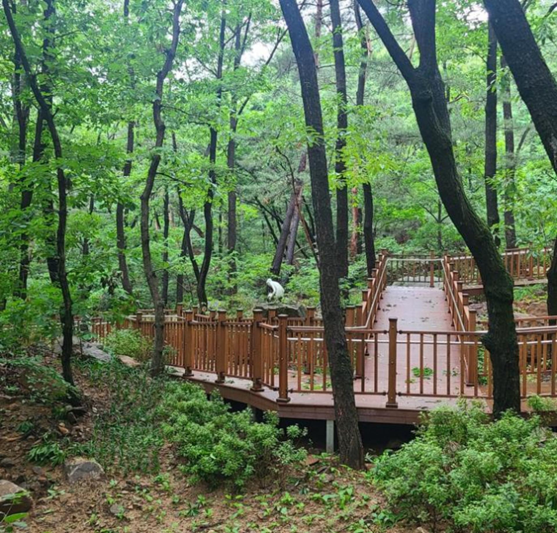 안양시, 자연 속 예술작품 따라 걷는 '예술 탐방로' 개통