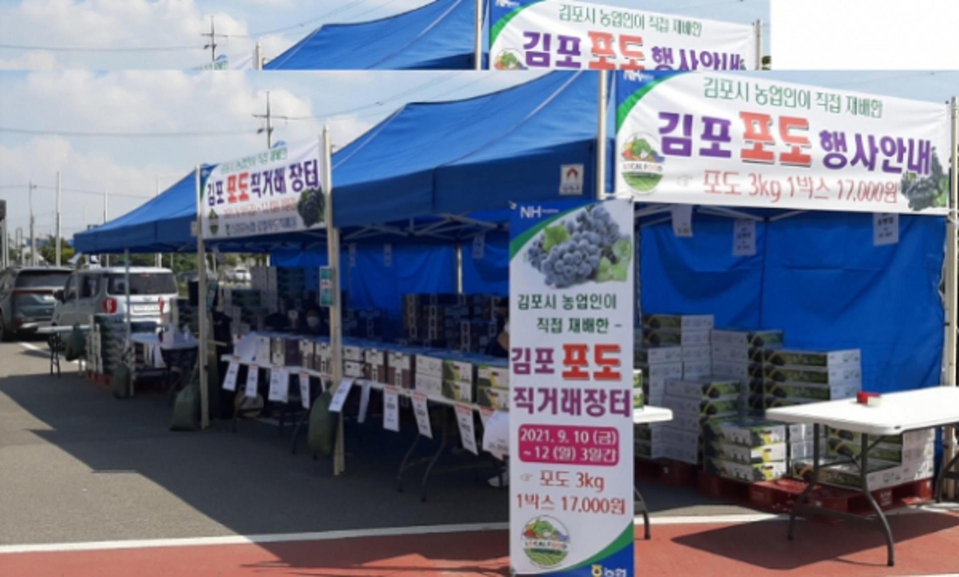 제25회 김포포도 직거래장터 할인행사 9월4일 개장
