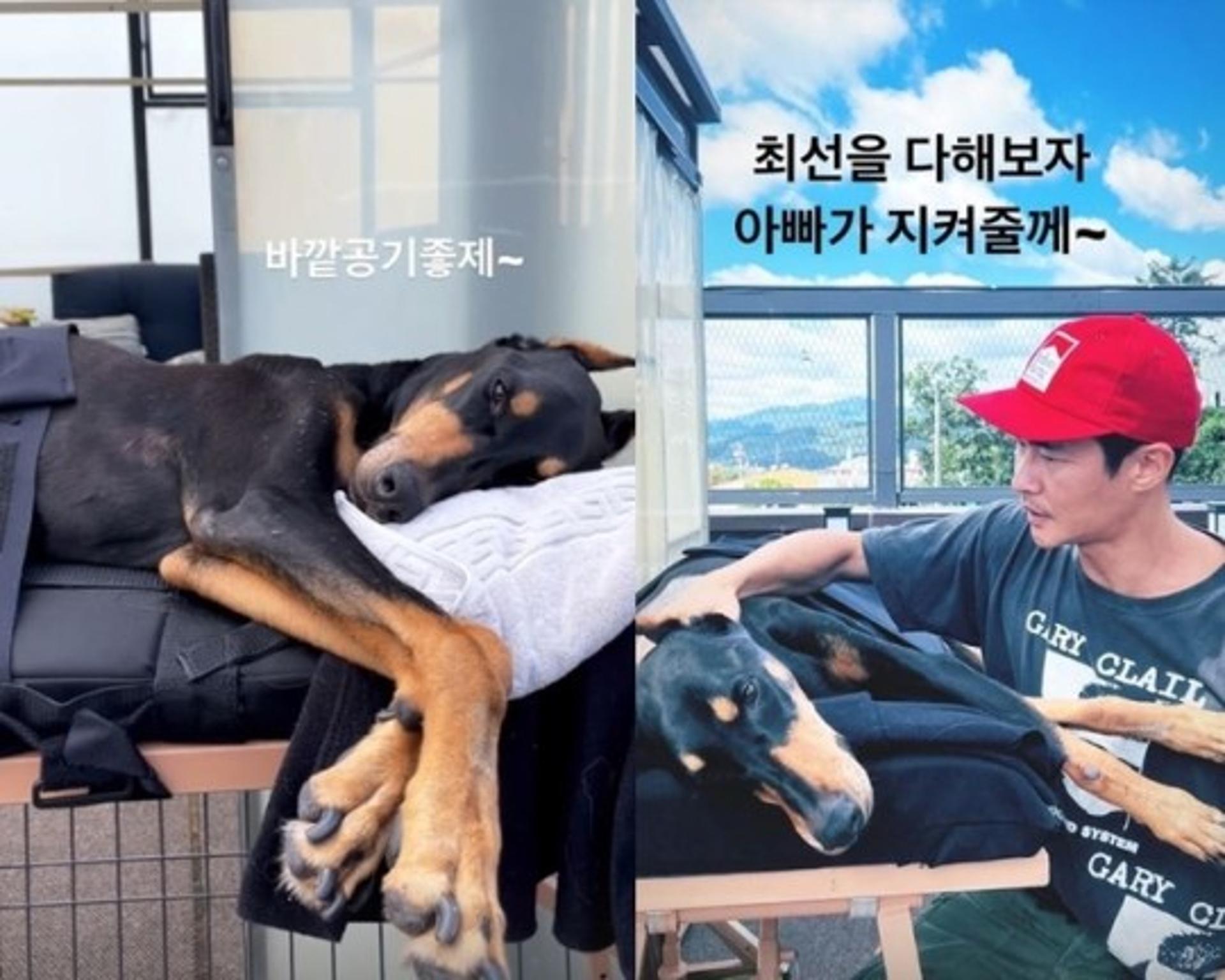 "아빠가 지킬게"… 배정남, '급성 디스크 수술' 반려견 향한 애정