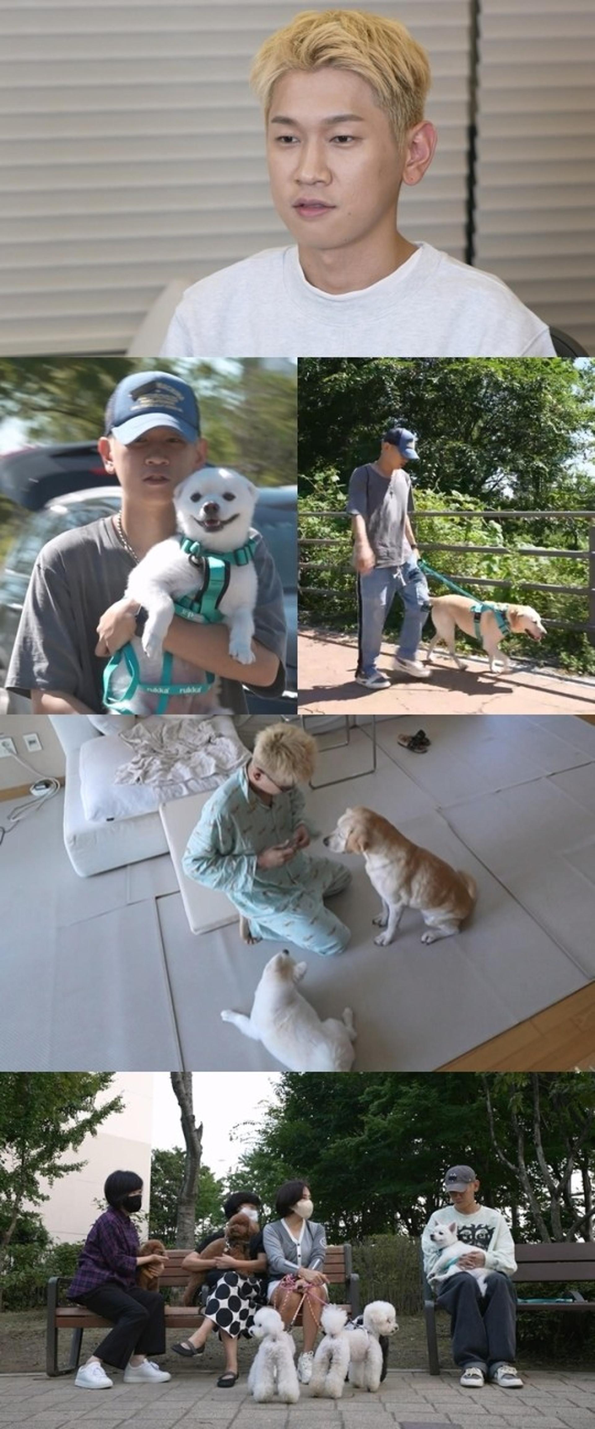 "새 식구 생겼다"… '♥조이' 크러쉬, 사랑꾼 맞네
