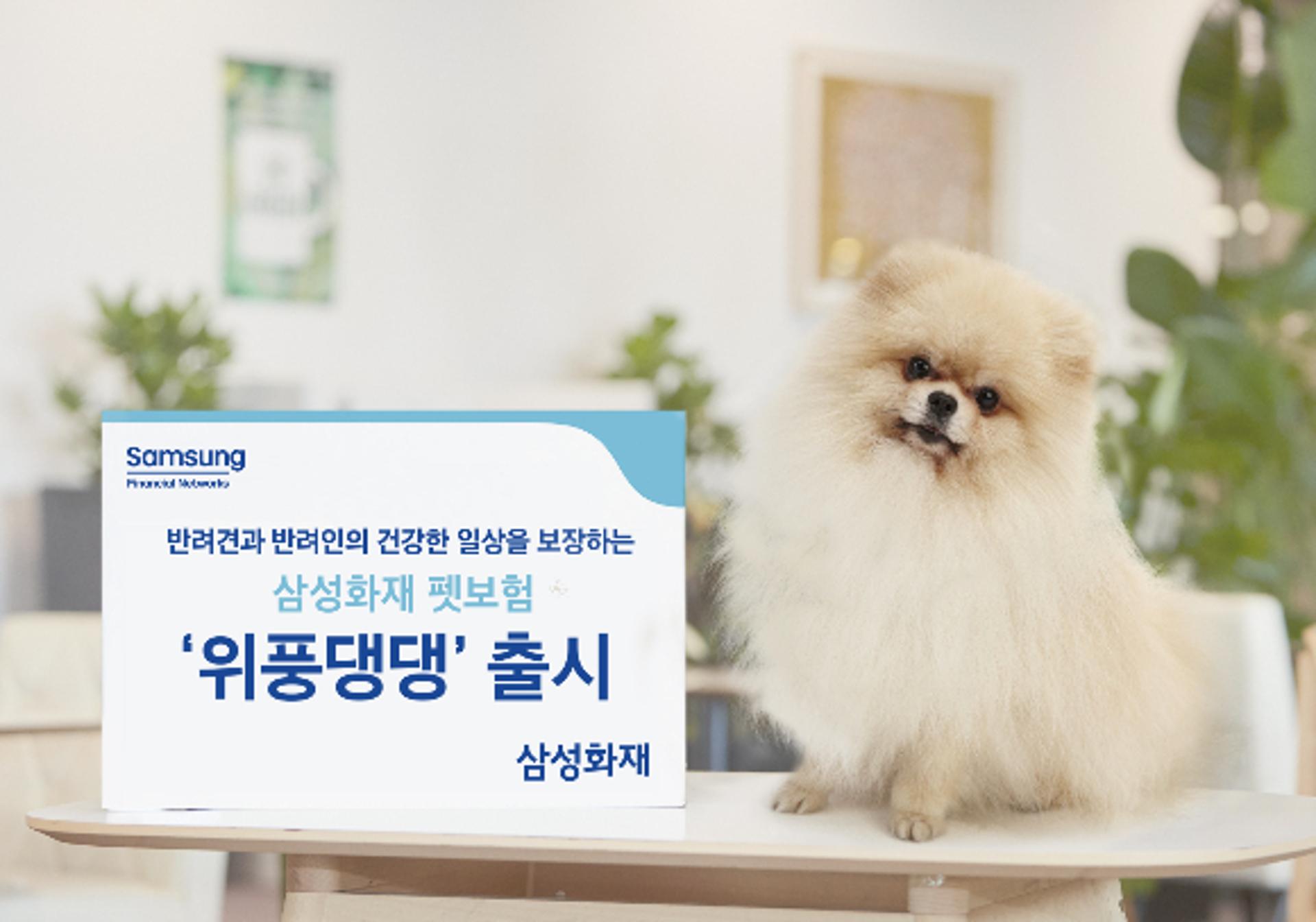 "최대 20세까지 보장"… 삼성화재, '장기 펫보험' 출시