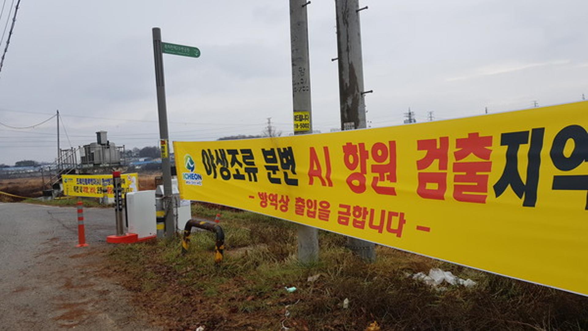 안성천 야생조류서 고병원성 AI 항원 검출…경기도, 방역조치 강화