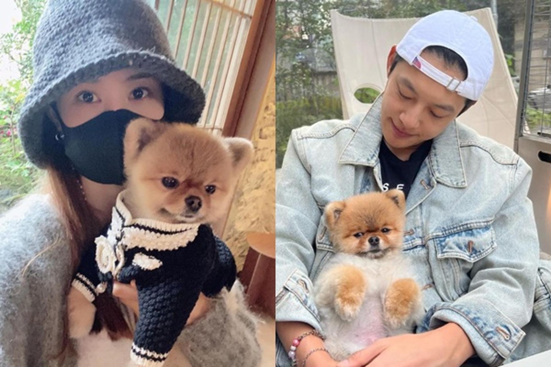 세븐♥이다해, 애정전선 이상無… 반려견 안고 꿀 뚝뚝