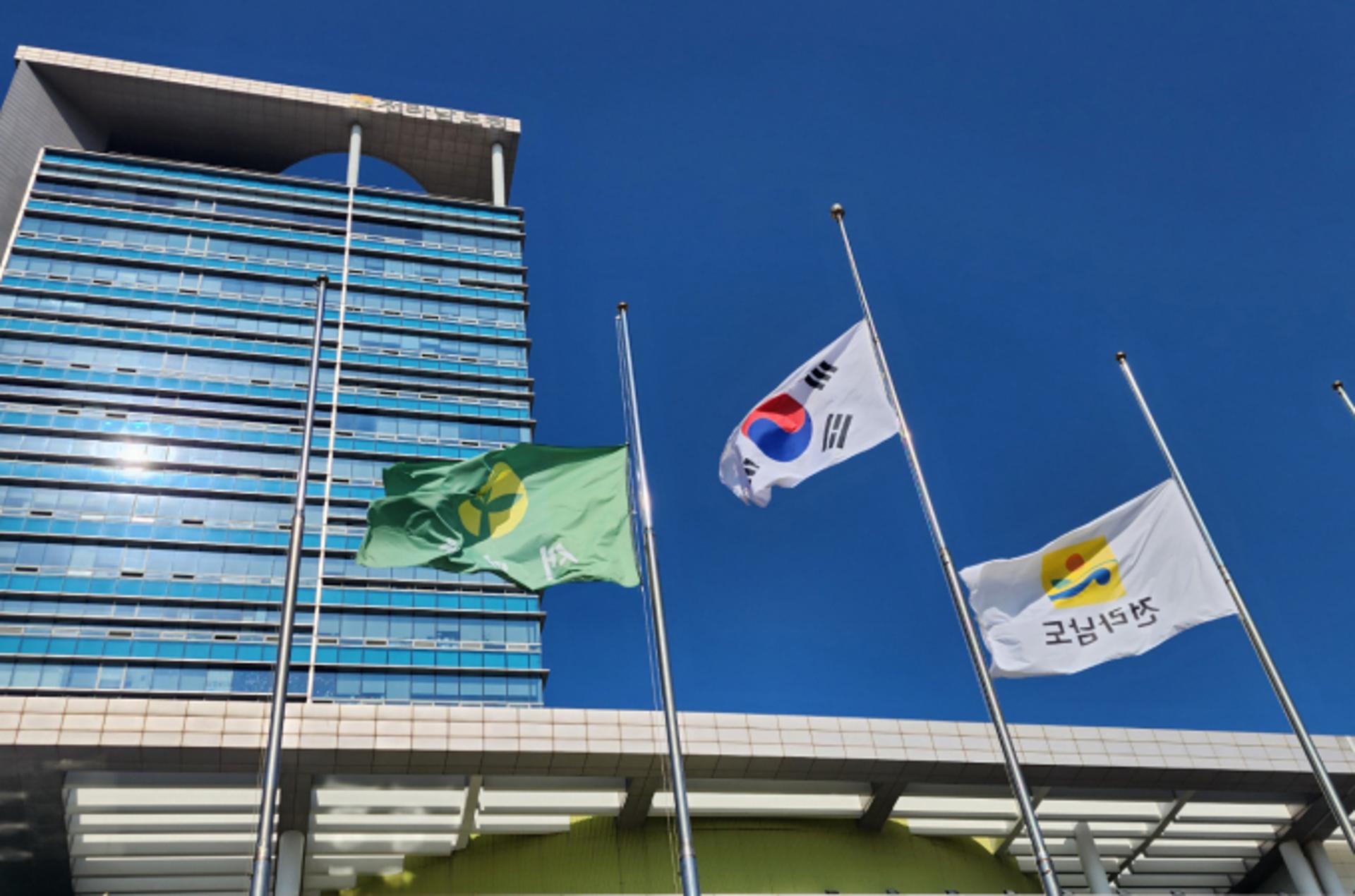 '이태원 참사'에 광주전남 시도민 7명 사망…1명은 뇌사판정 치료중