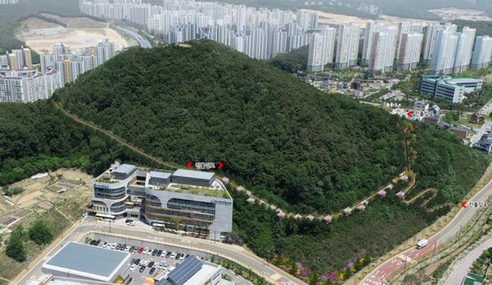화성시, 왕배산 무장애나눔길 조성 '탄력'