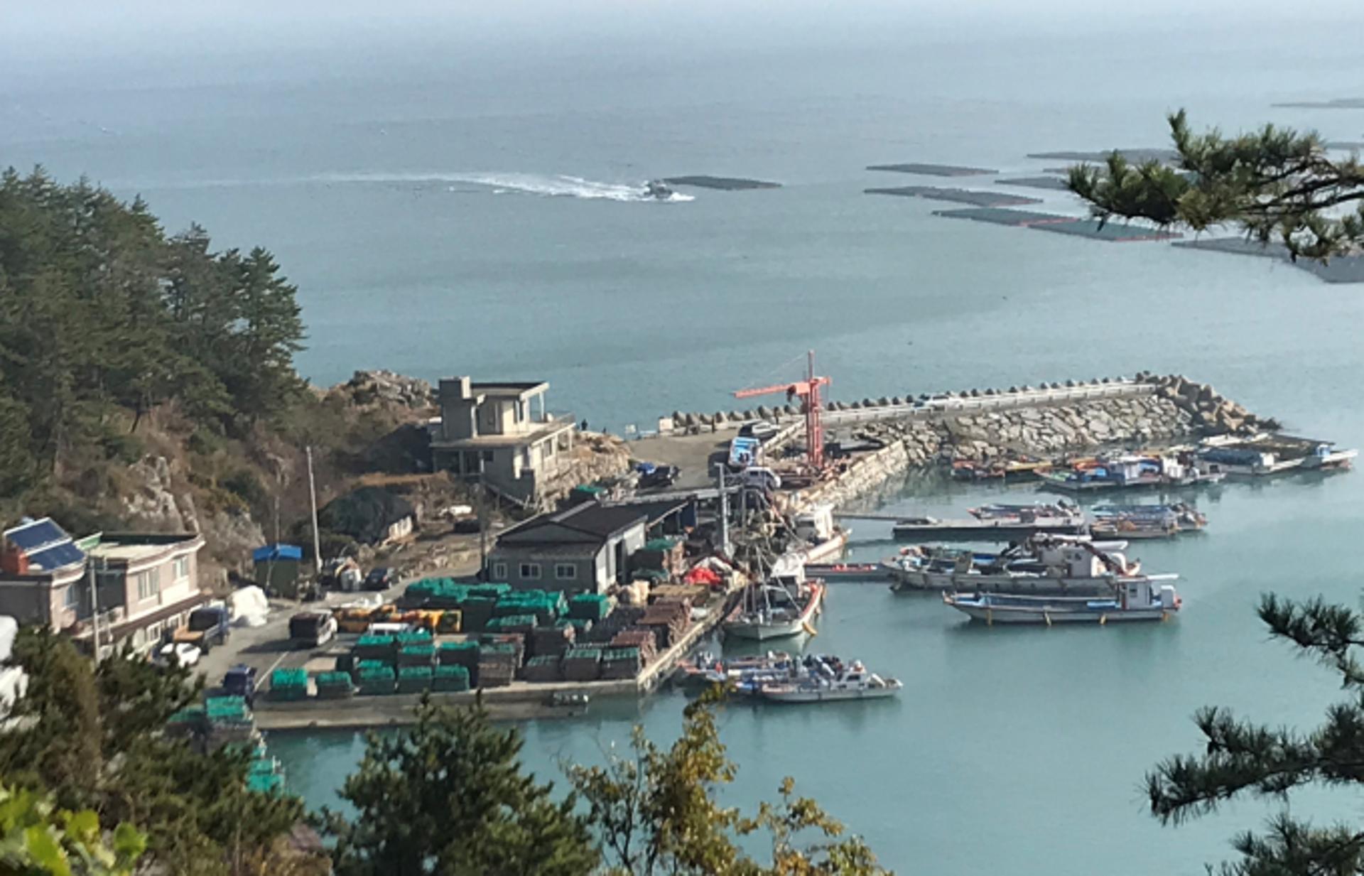 전남도, 시군 위임 '지방어항 건설' 직접 추진한다