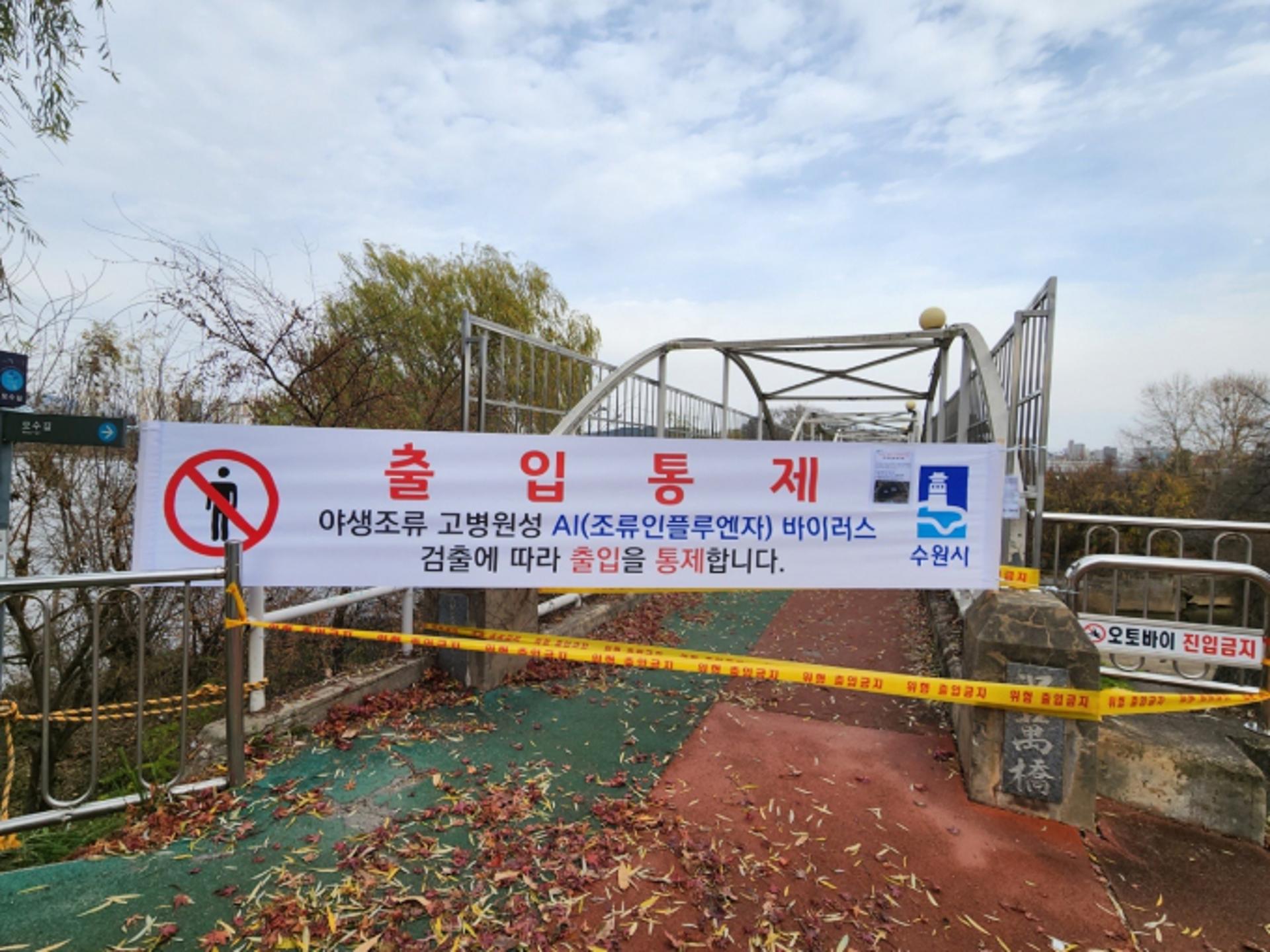 수원시 축만제 야생조류 폐사체서 조류인플루엔자 검출