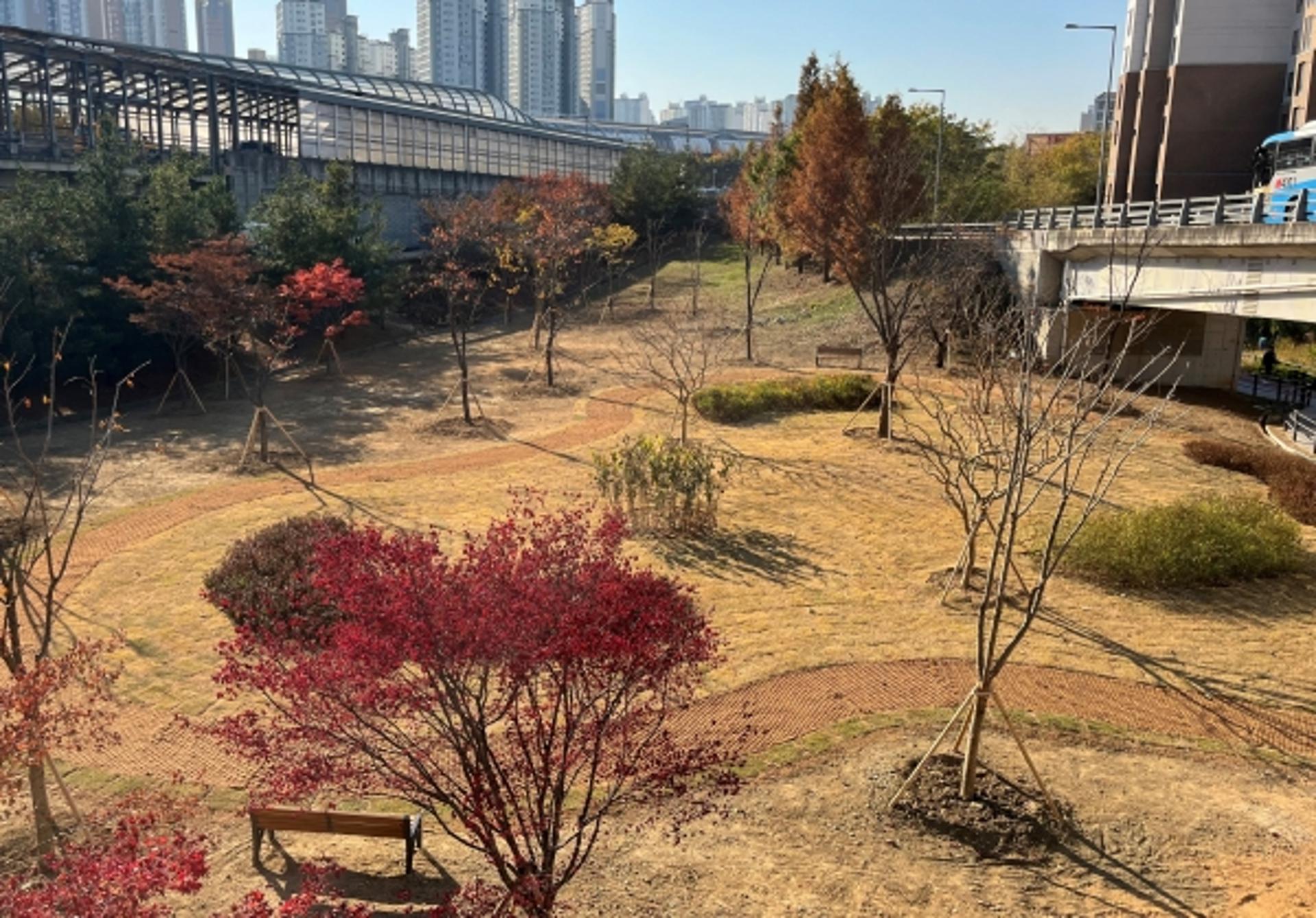 용인특례시, '도시숲'이 시민 일상을 품는다
