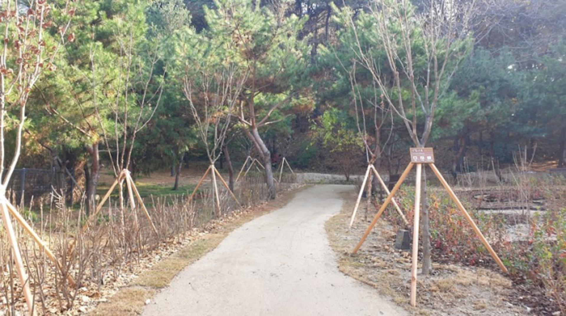수원 숙지공원 훼손지가 친환경 생태숲으로 '변신'