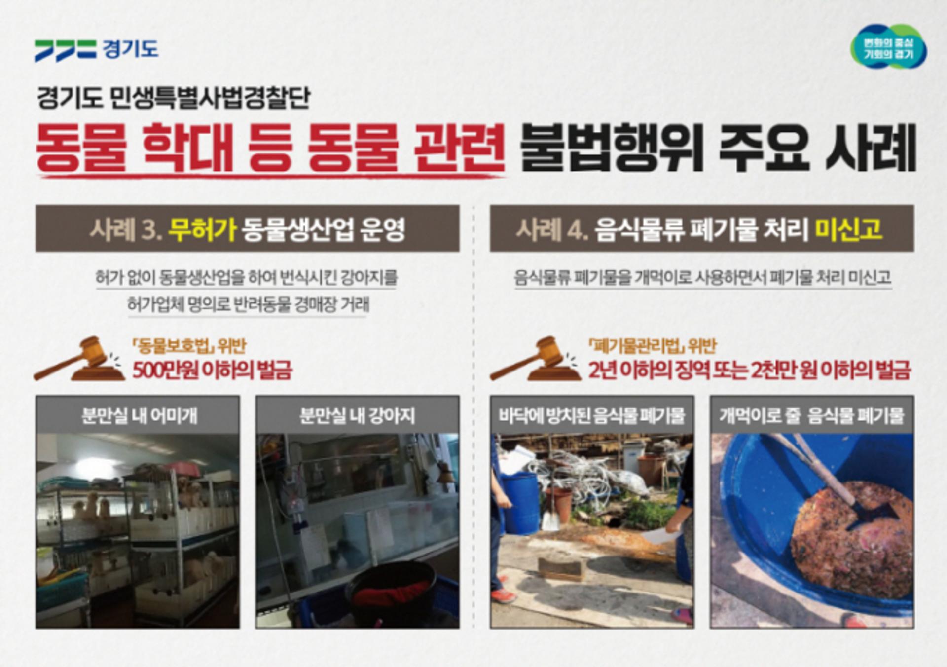 경기도, 무허가 도살등 개농장 불법행위 11건 적발