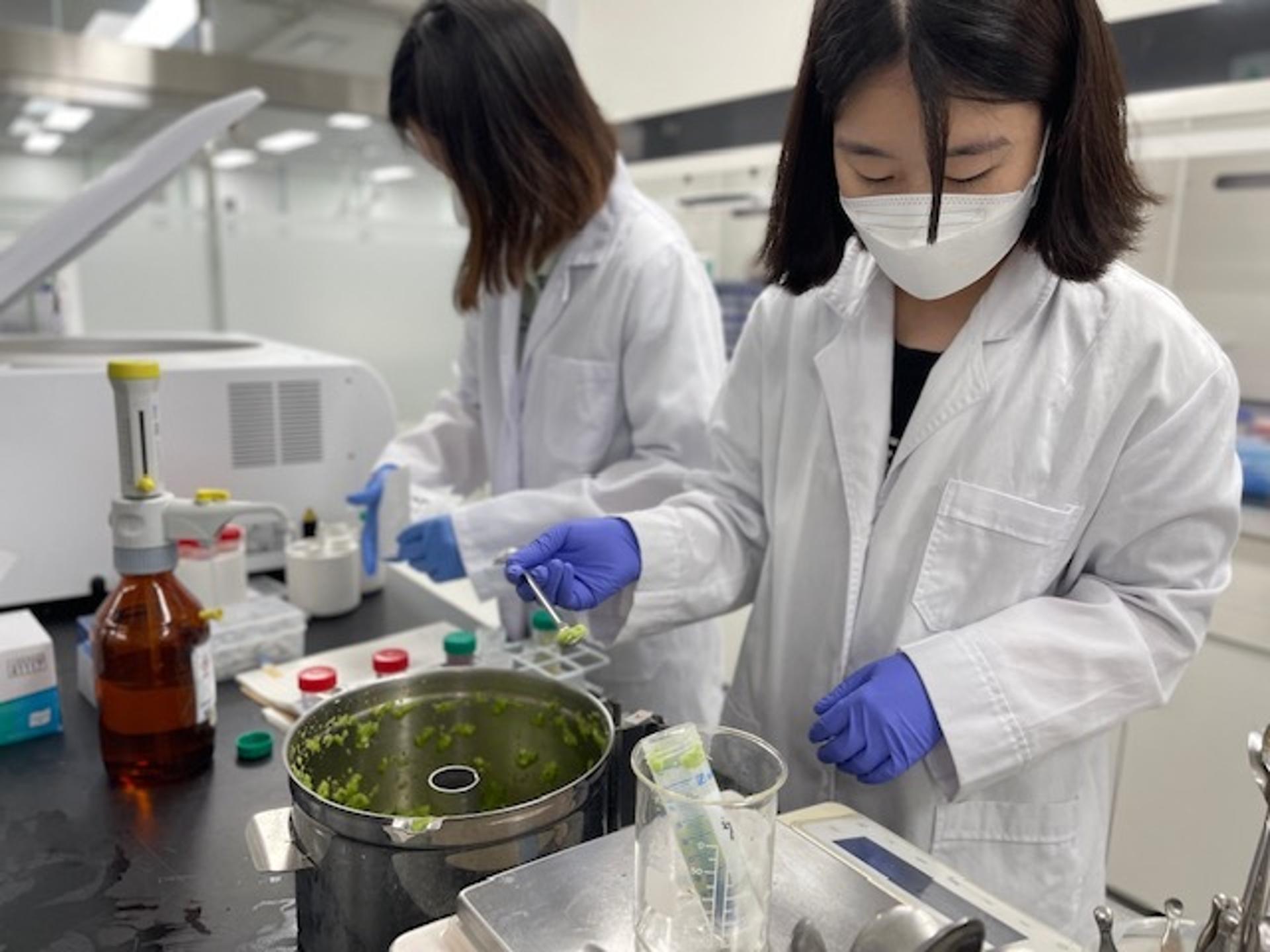 경기도, 취약 시기별 맞춤형 농산물 검사…연말까지 '농산물안심지킴이' 운영