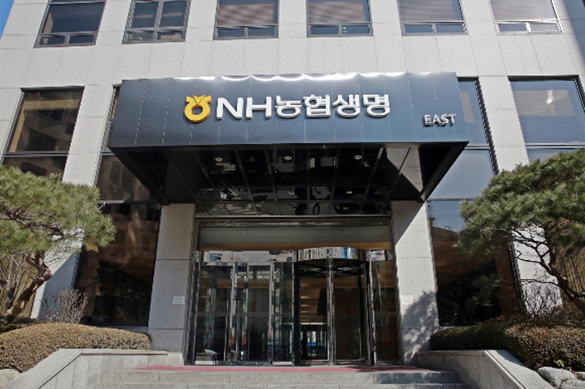 위기 대응 플랜 짜는 농협생명… '리스크 관리 강화'로 3고 넘는다