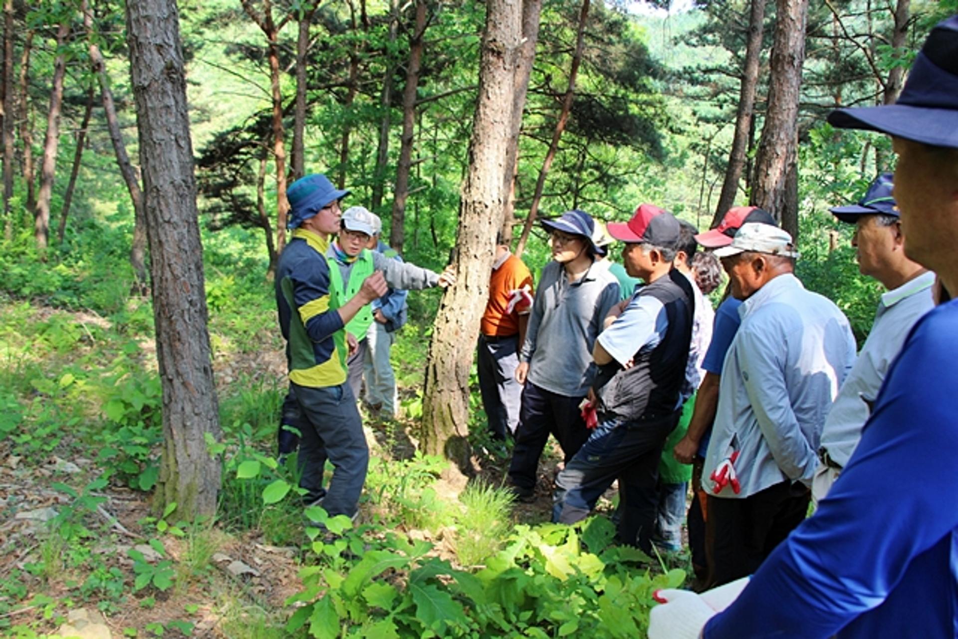 청송군, 2024년도 '산림소득사업 지원' 신청 접수