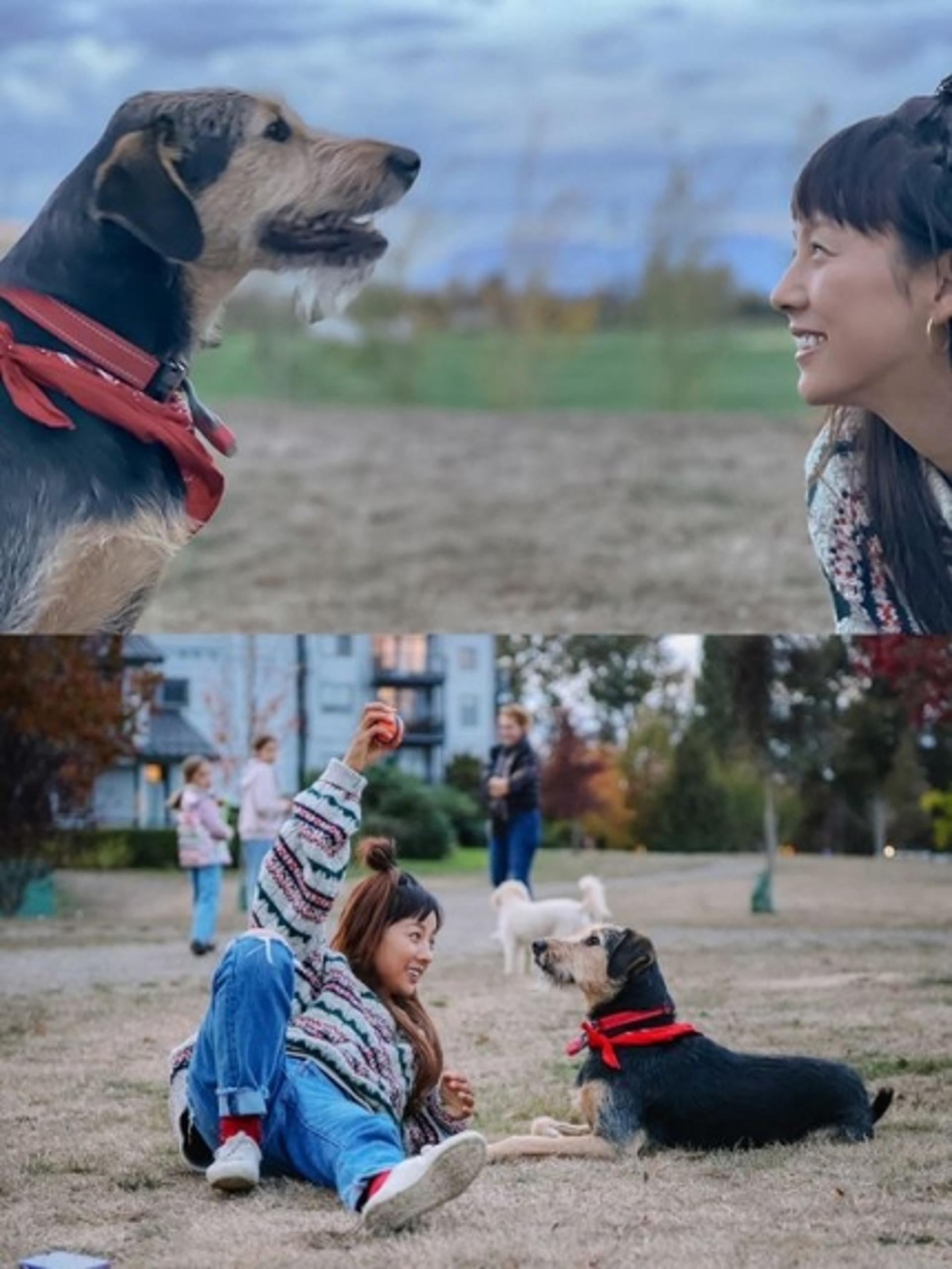 "이제 진짜 굿바이!" 이효리의 '캐나다 체크인' 종영