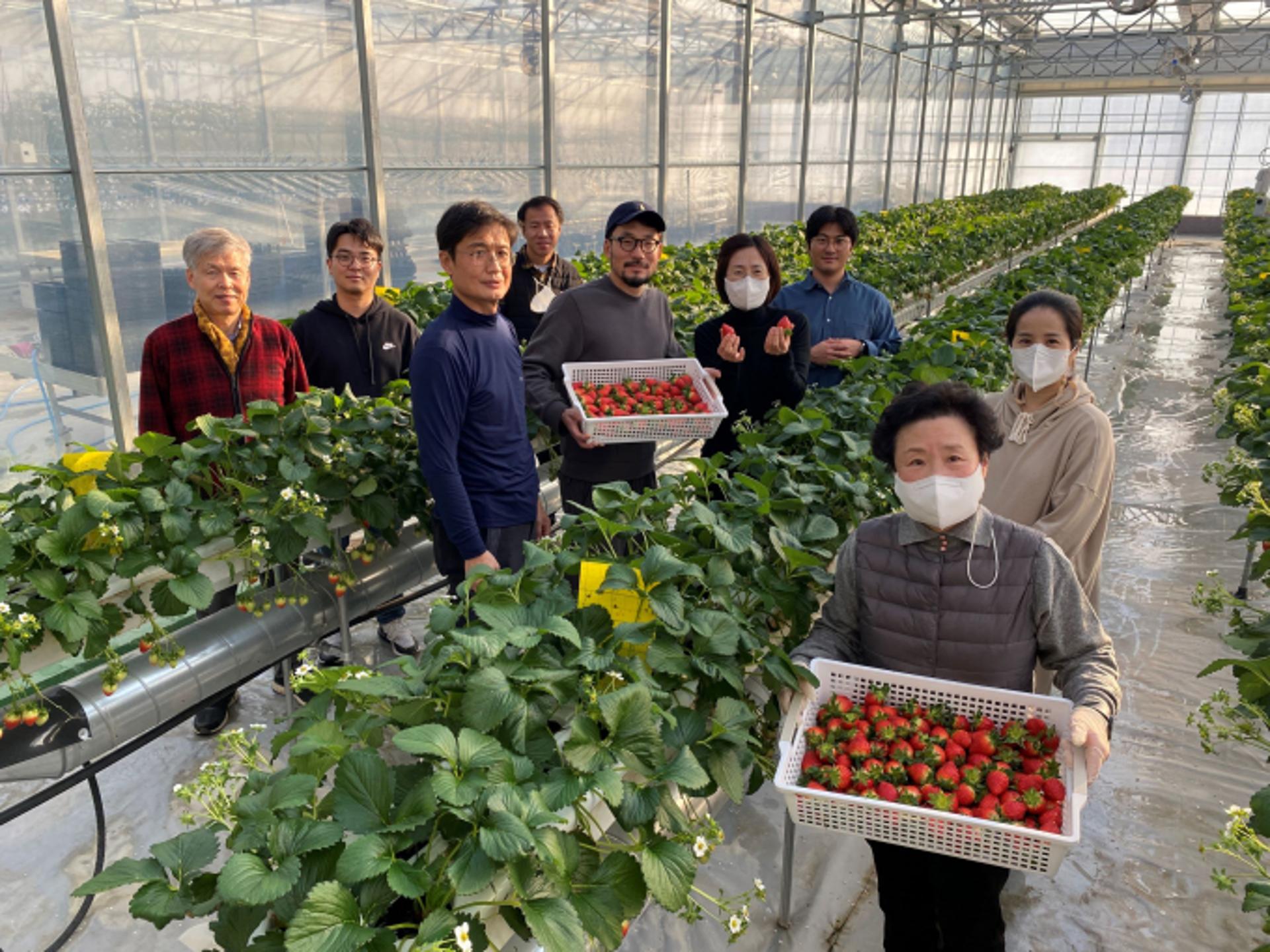 용인특례시, 스마트팜·식물공장 등 스마트농업 이끌 '용인농민' 모집