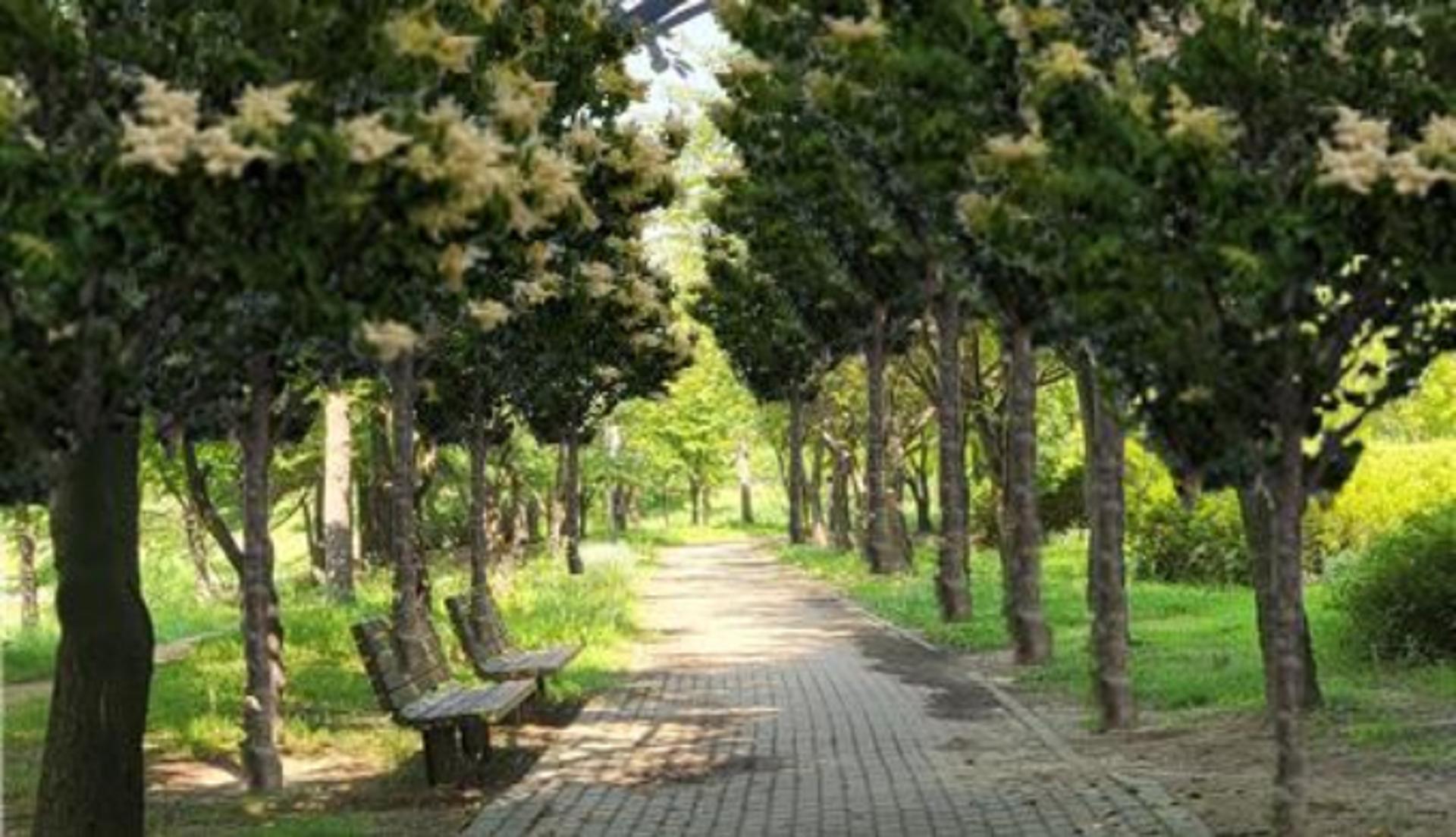 의정부시, 사계절 '걷고싶은 명품도시' 조성