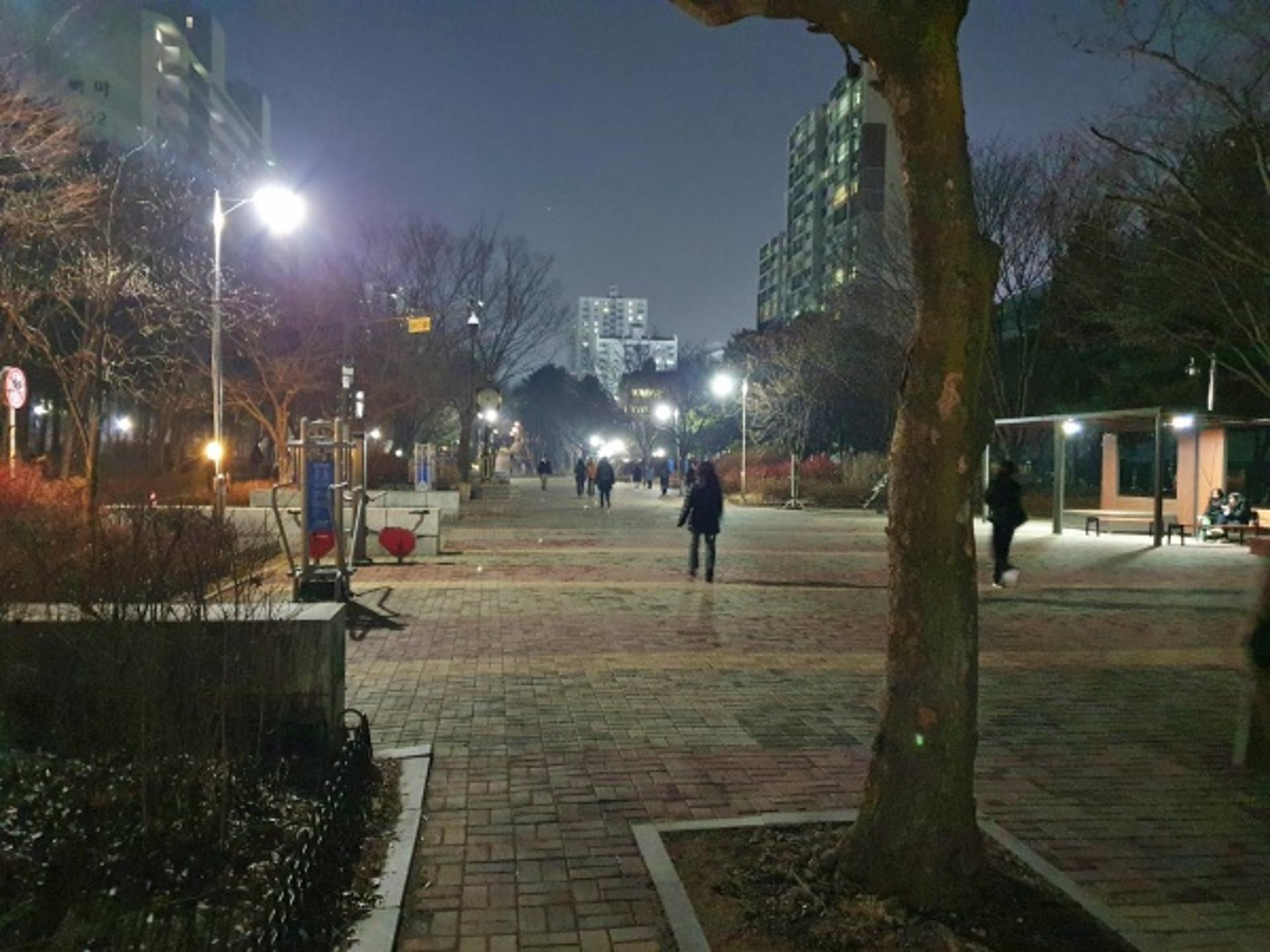 고양특례시, 대표 근린공원 '백마·마두·강촌공원' 확 밝아진다