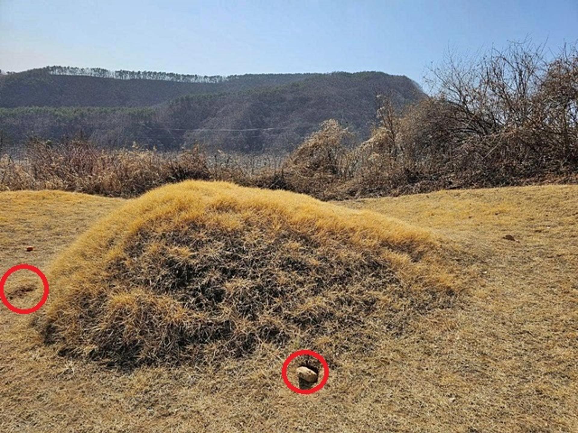경찰, 이재명 민주당대표 부모 산소훼손사건 수사