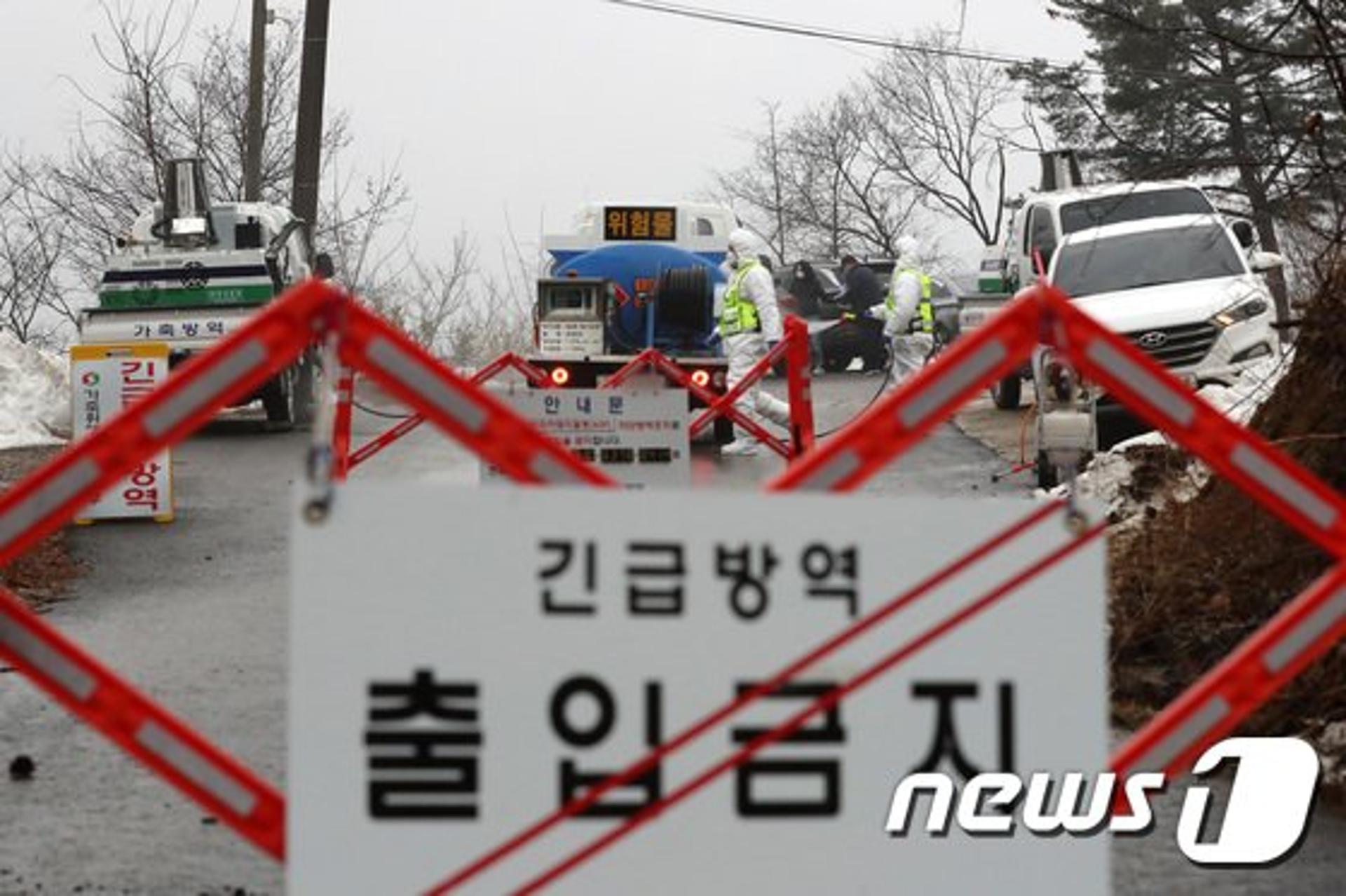 포천시, 아프리카돼지열병 발생…신속한 초동대응 나서