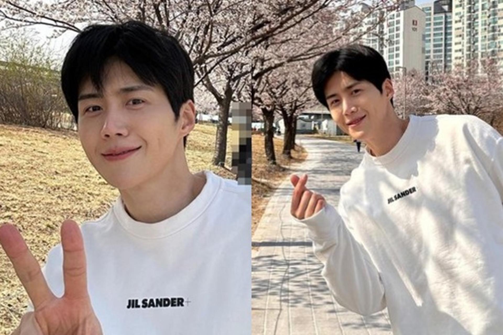 "남친짤의 정석?"… 김선호 근황, 벚꽃 앞에서 '찰칵'