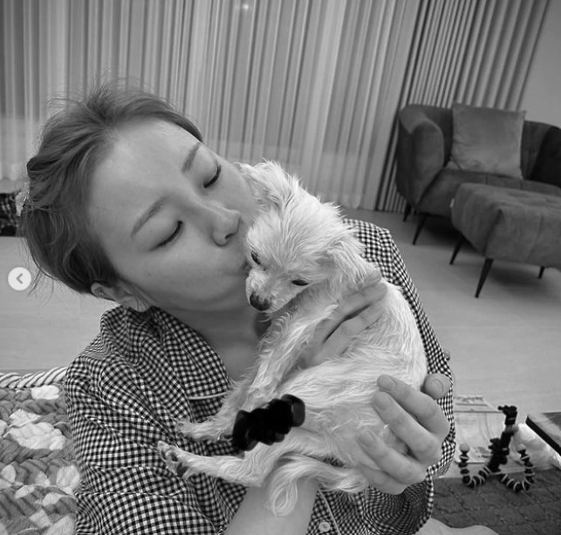 "죄책감에 목놓아 울어"… 입짧은햇님, 반려견 향한 그리움 '뭉클'