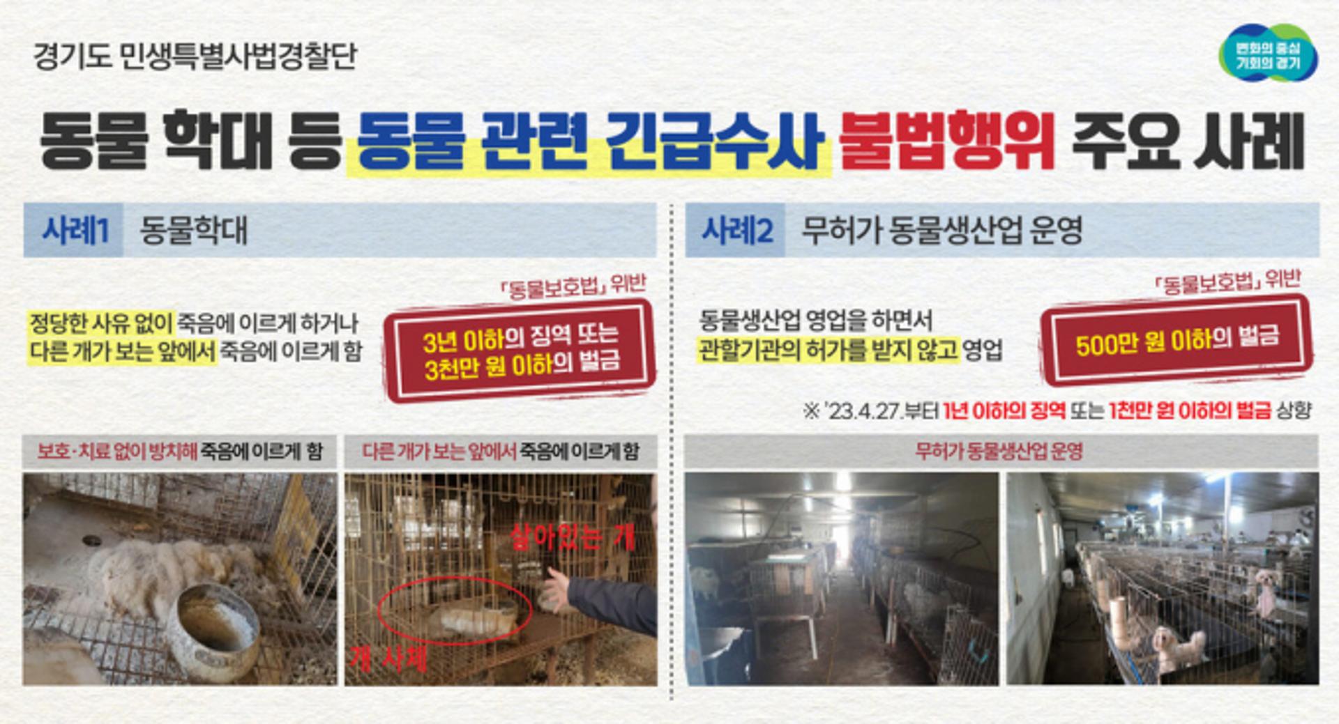 경기특사경, 동물학대 긴급수사…3개소 적발·의심 11개소 지속관찰