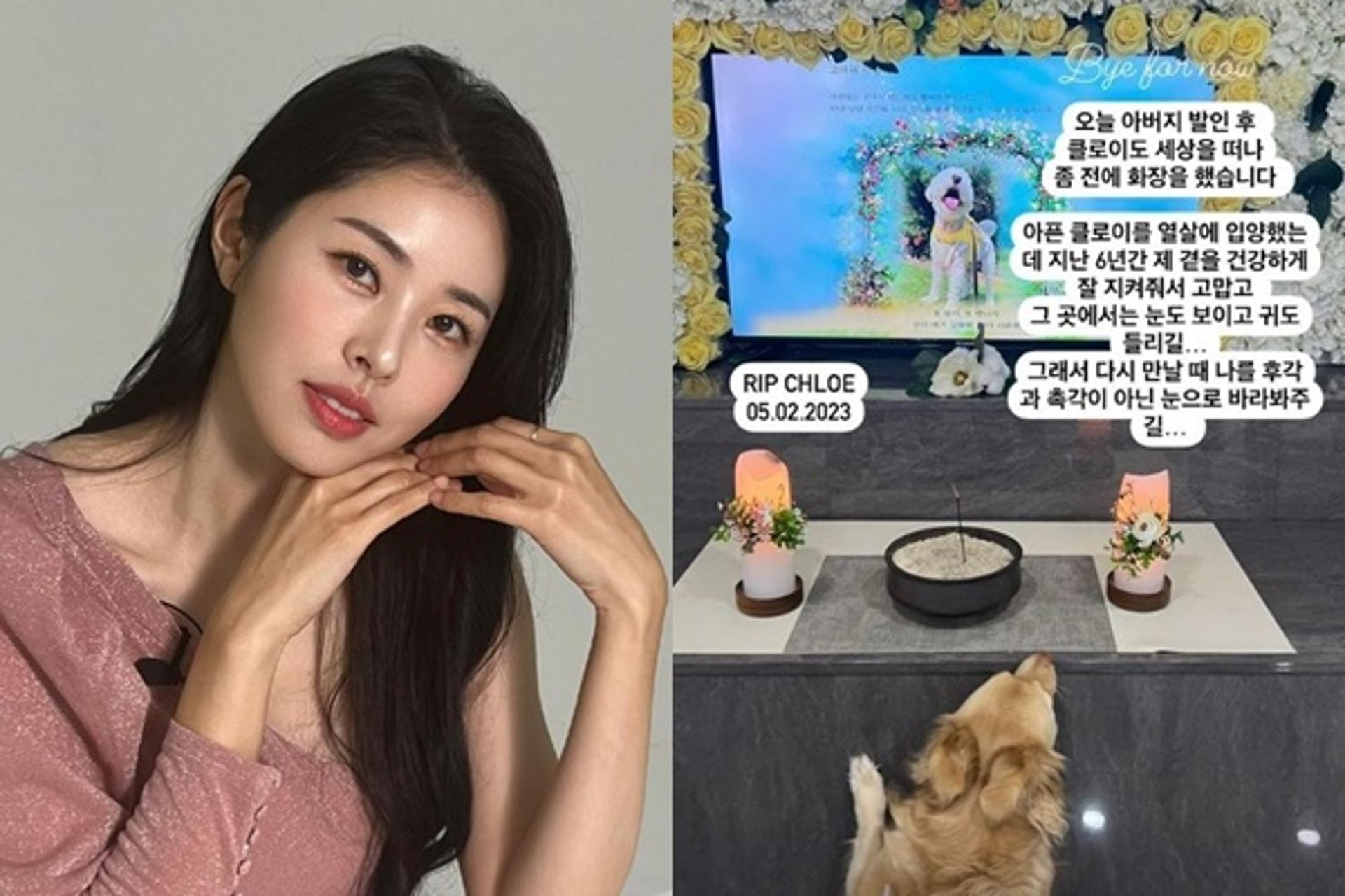 "故서세원 발인 후 반려견도 세상 떠나"… 서동주, 연이은 비보