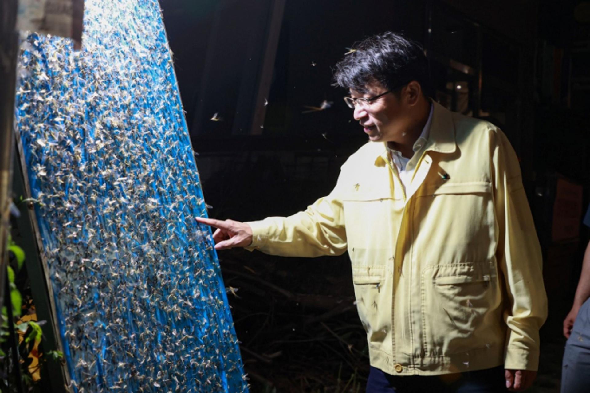 남양주 동양하루살이 극성…이석범 부시장, 방제현장 점검