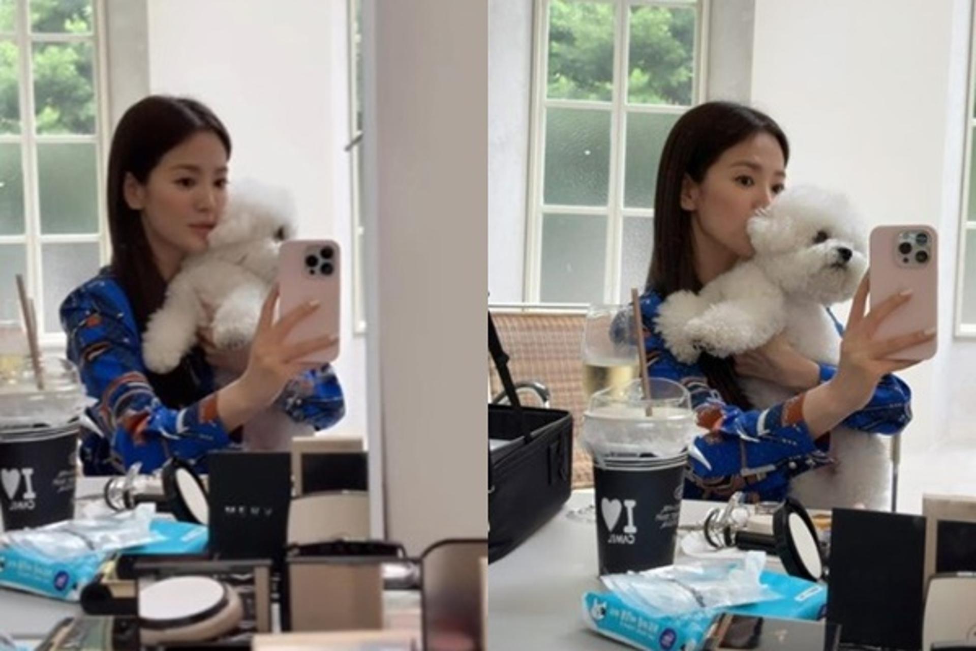 '톱배우' 송혜교도 이건 못 참지… "얼굴 찍고 싶은데"