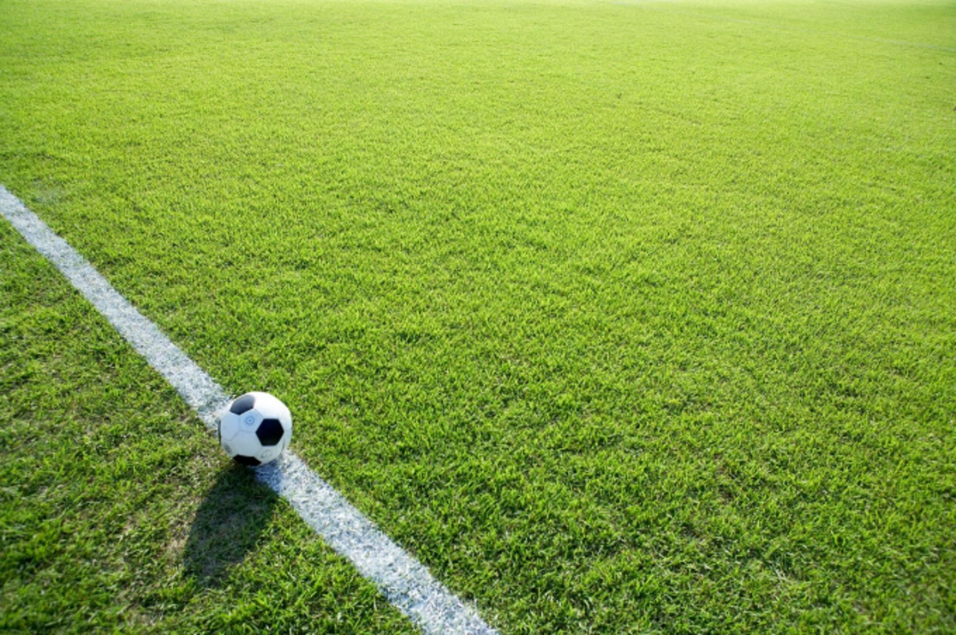 브라질, U20 월드컵 8강서 충격패… 이스라엘에 2-3으로 져