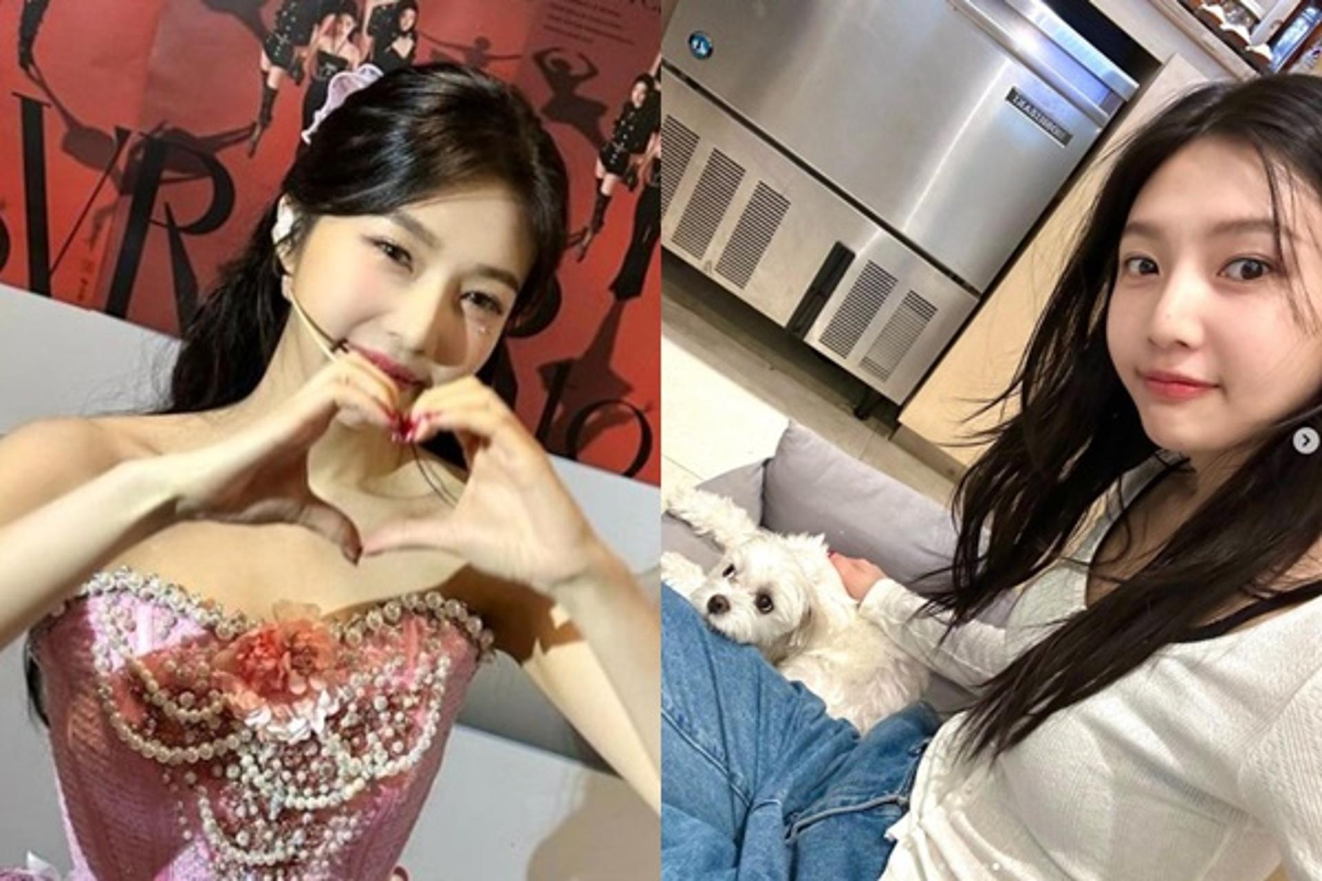 '활동재개' 조이 근황 '주목'… "러비 미안하고 고마워"