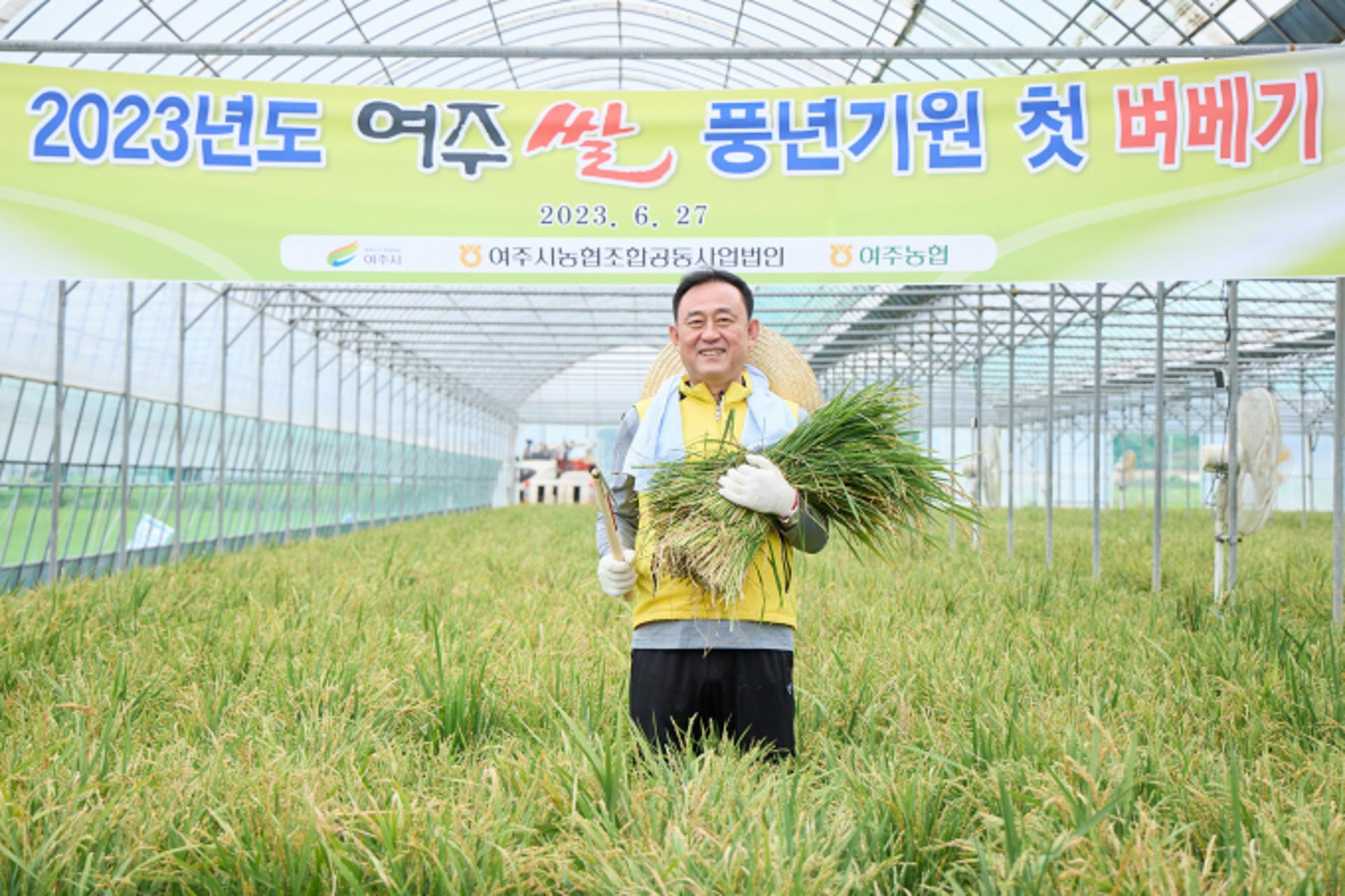 여주시, 대왕님표 여주쌀 풍년기원 '2023년 첫 벼베기'