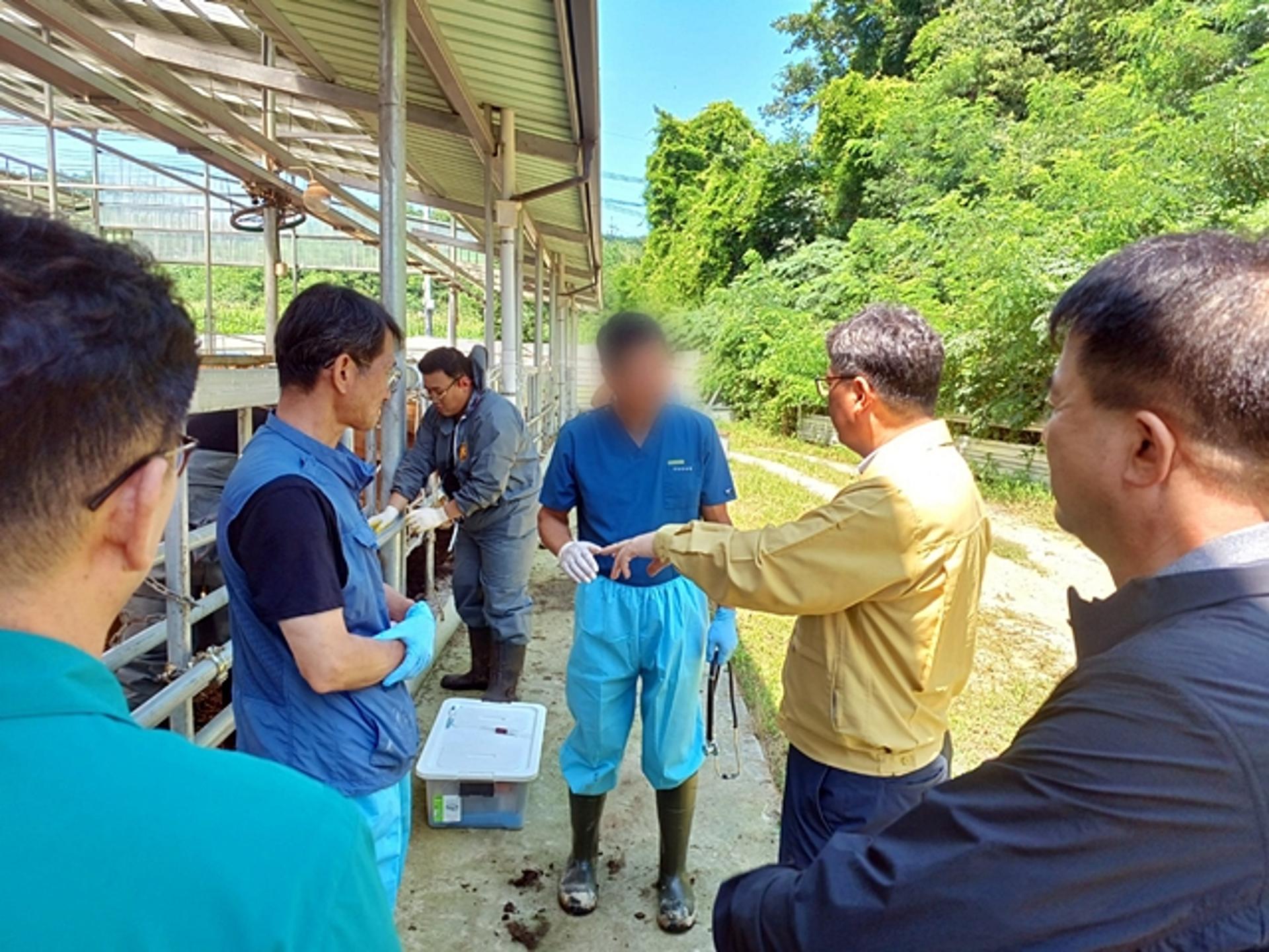 영주시, 경북도와 호우피해 축산농가에 동물의료 지원