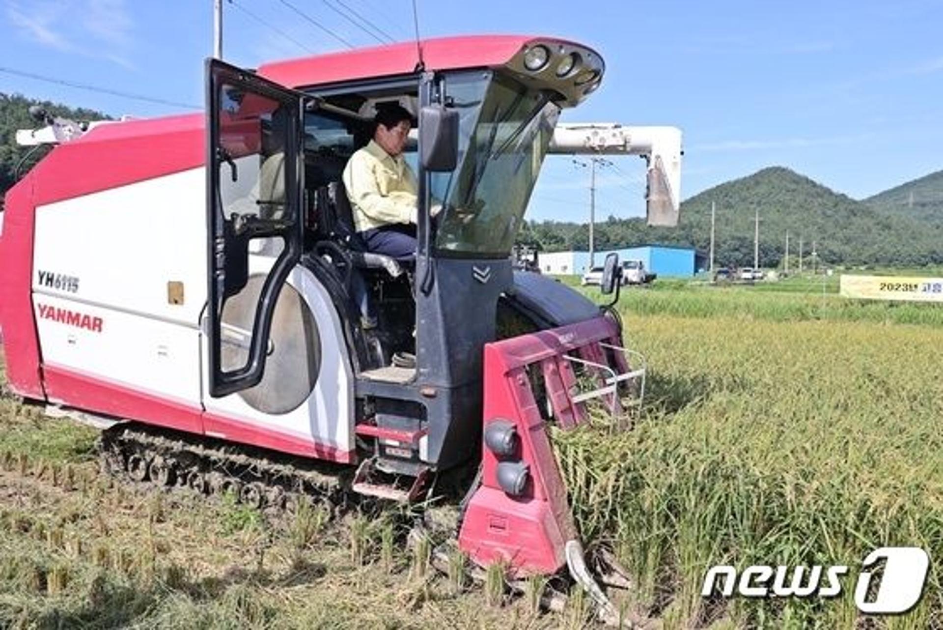 고흥서 모내기 115일만에 첫 햅쌀 수확