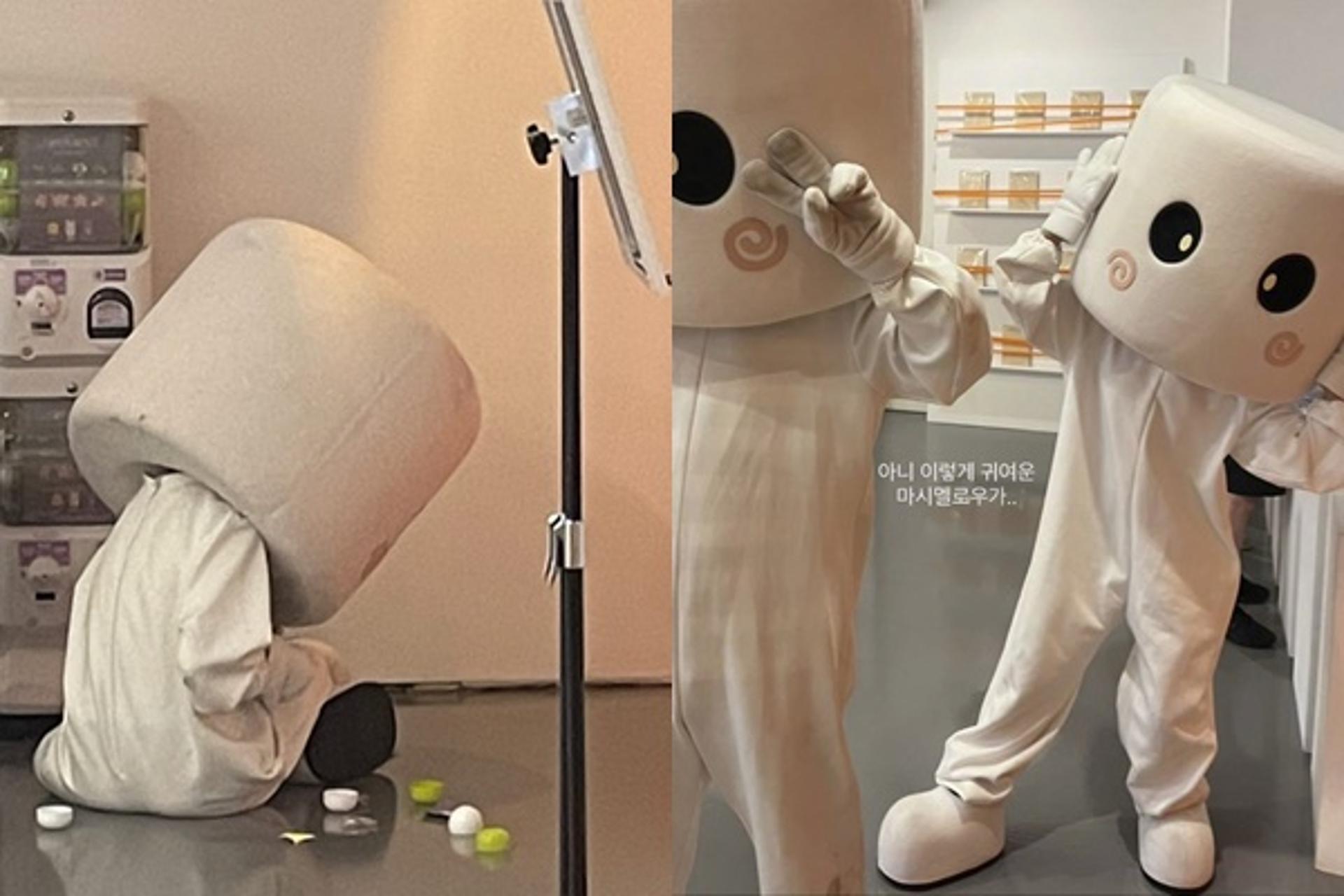 "인형탈 쓰고 깜짝"… 아이유, 팬 사랑 클라쓰