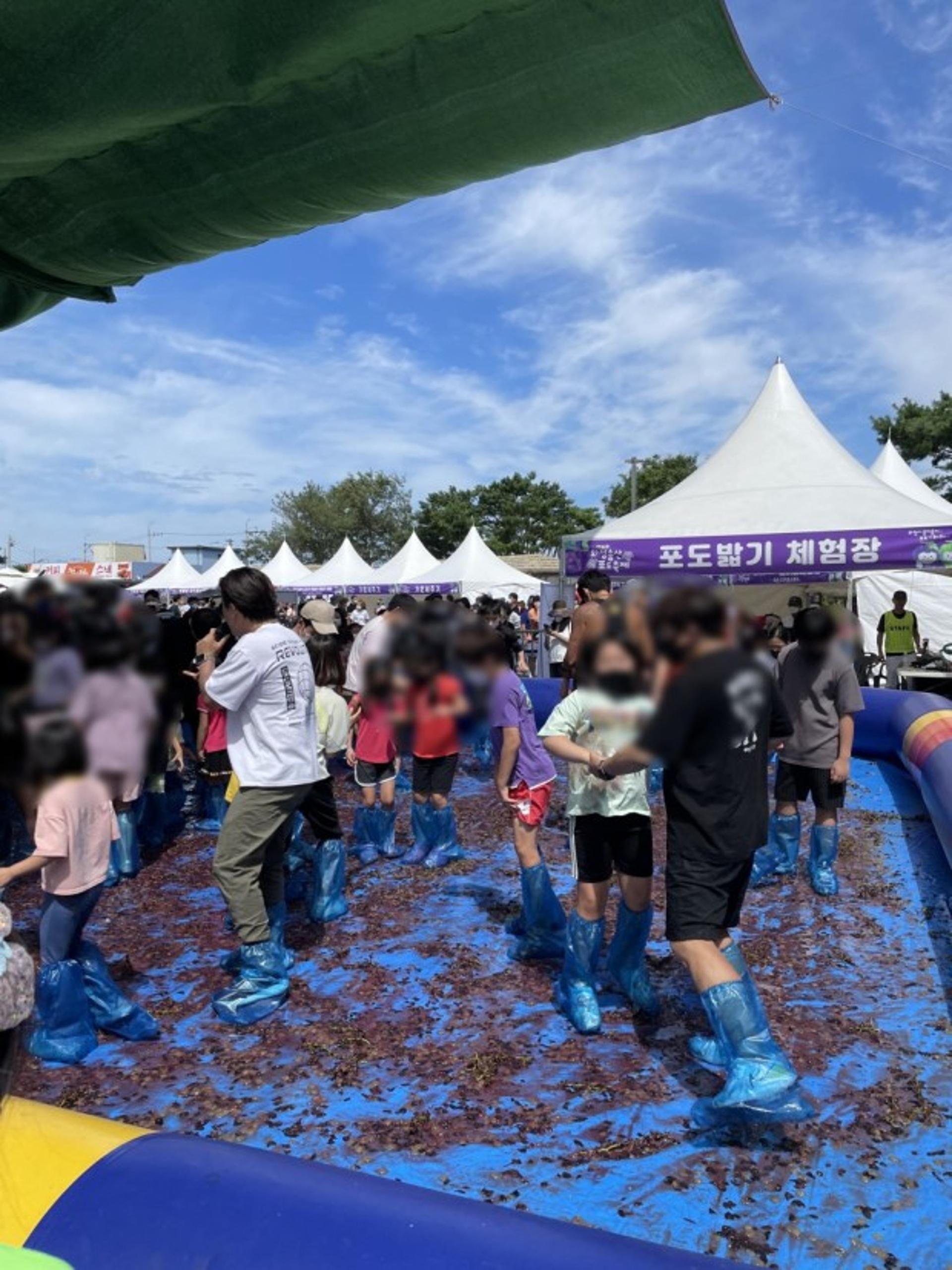 "'화성송산포도축제'에 놀러오세요"