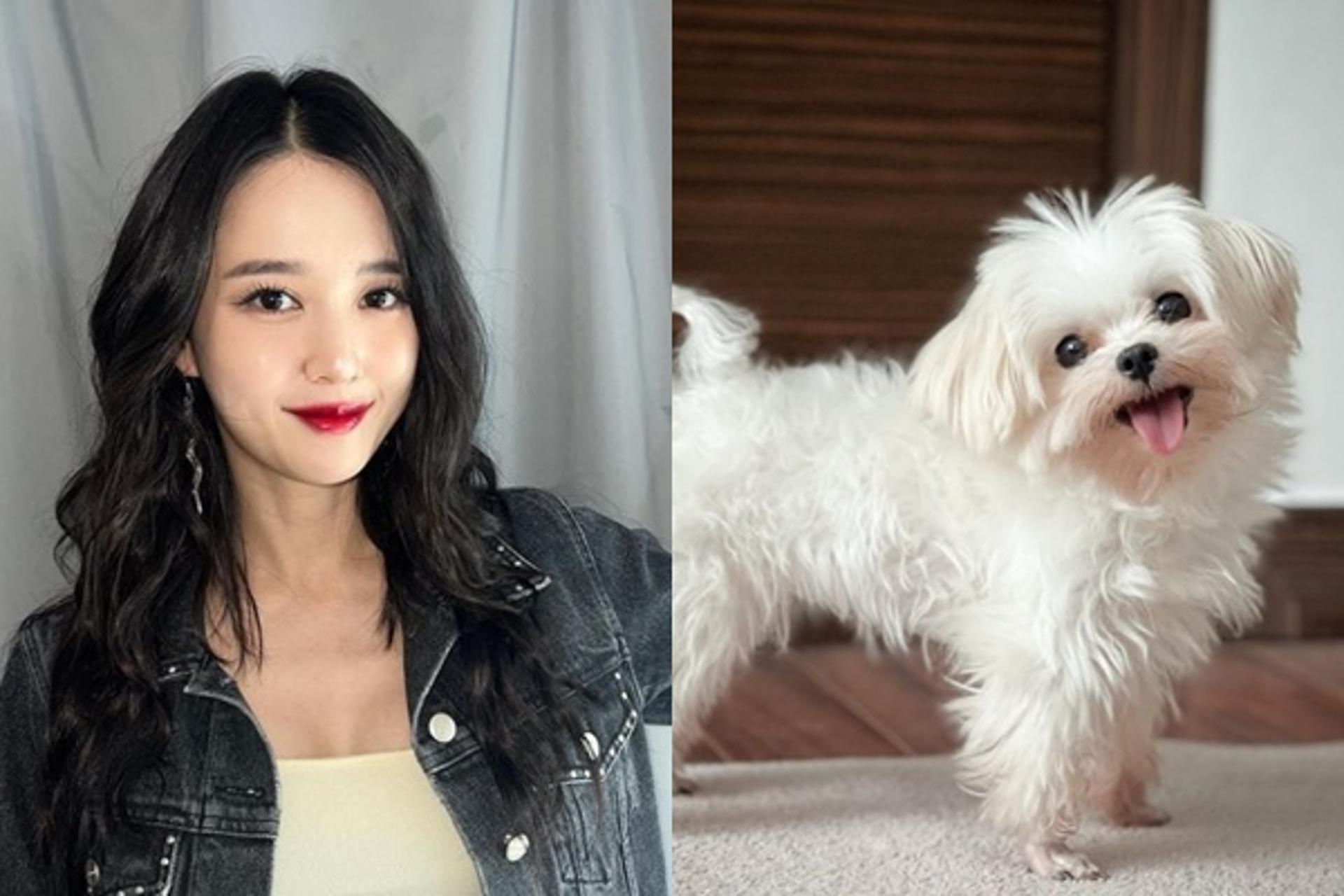 "이제 6자매"… '13남매' 장녀 남보라, 여동생 생겼다?