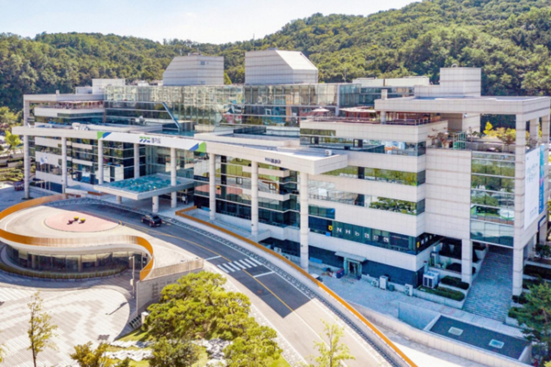 경기도에선 반려동물 진료비 부가세 면제…'다빈도 진료항목 100개 항목'